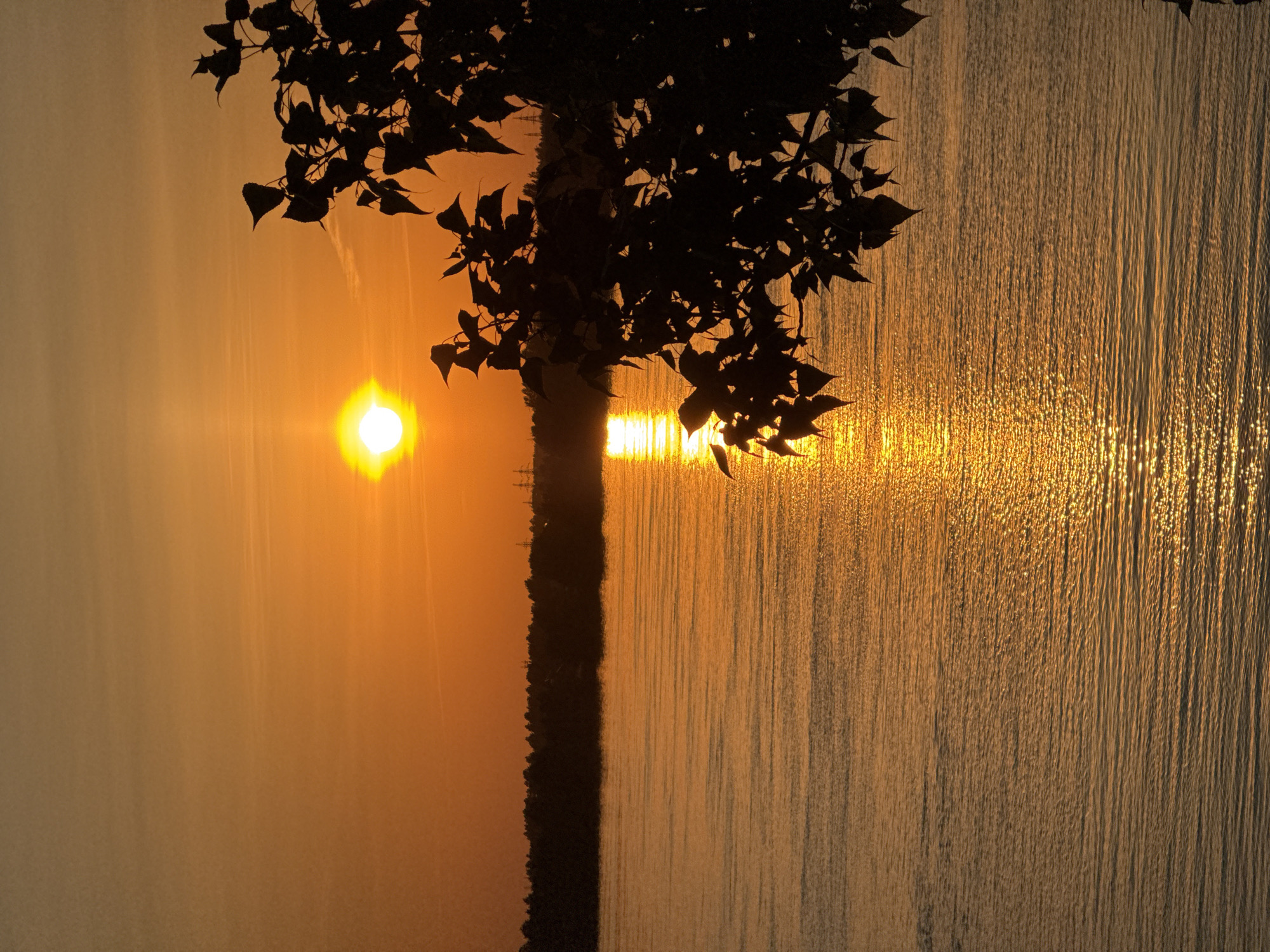 The image shows a body of water with a tree silhouetted against a sunset. The sun is a bright orb on the left side of the image, with a reflection shimmering on the water's surface. The water appears to have vertical striations, possibly due to the way the light reflects off the ripples or small waves. The tree is dark and partially obscures the sun and its reflection. The location is Chaikovsky, Russia, and the scene is the Kama river.