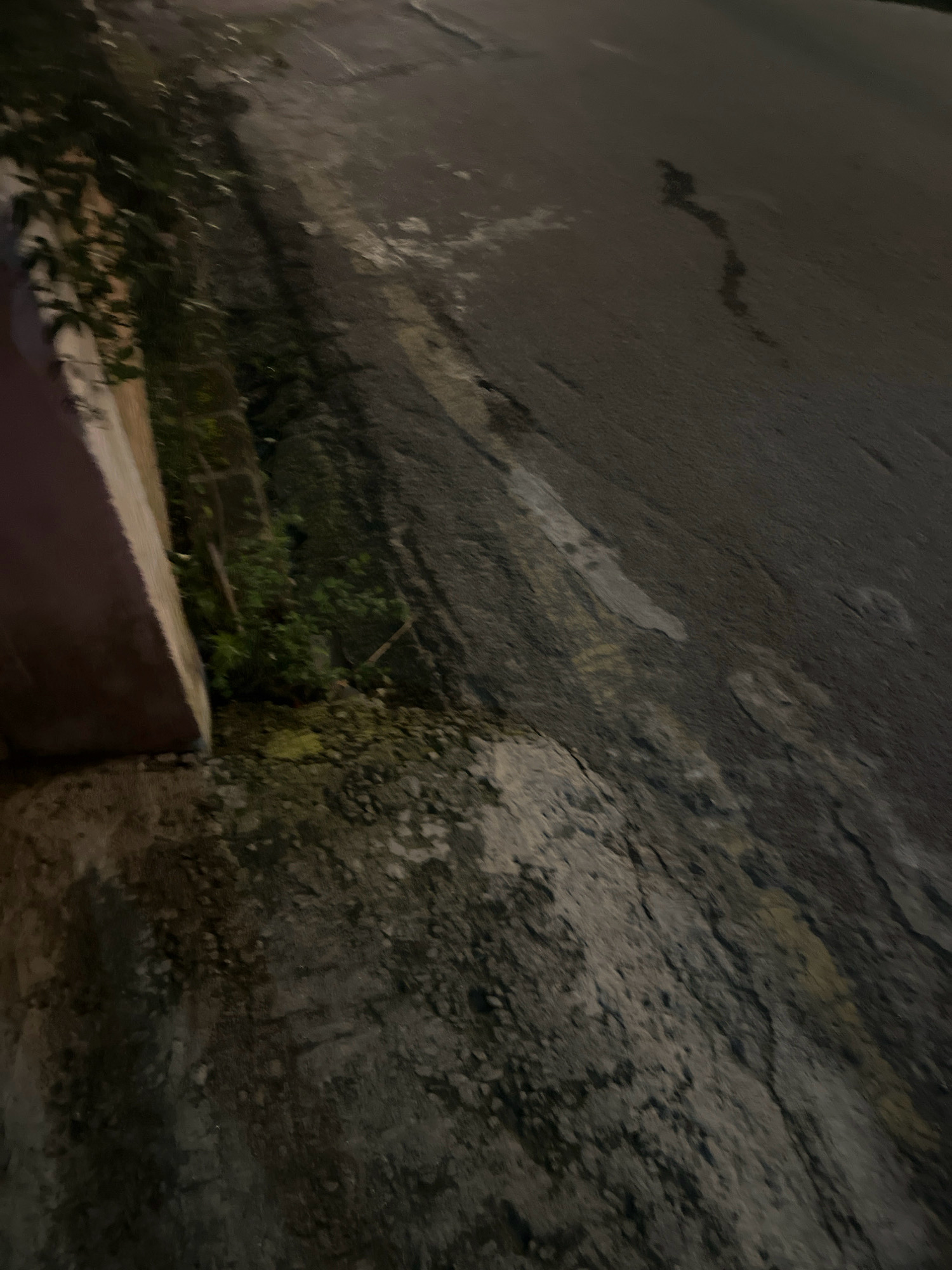 The image shows a close-up, angled view of a paved road surface in Lalitpur, Nepal, during nighttime or low-light conditions. The road appears somewhat worn, with visible cracks and patches of varying textures and colors, suggesting age and wear. To the left of the road, there is a raised, pinkish structure, possibly a sidewalk or retaining wall, adjacent to a patch of dark green vegetation. The vegetation is lush and appears to be growing close to the paved surface. The lighting in the image is dim, casting shadows and highlighting the rough texture of the road and the wall. There are no people or visible signs of activity in the scene.