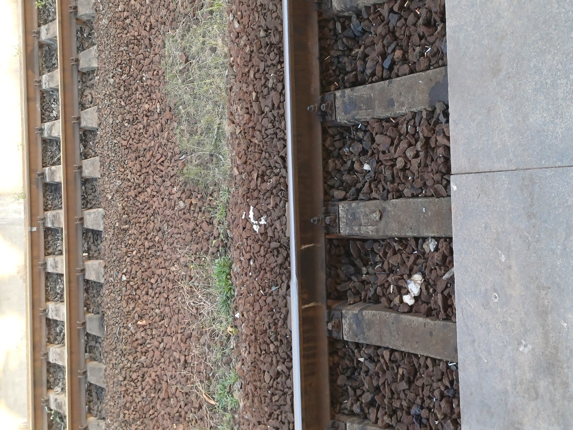 The image shows a close-up, ground-level view of a railway track with ballast. The railway ties are made of concrete, and the rails are metallic. The ballast is composed of dark, reddish-brown gravel. There are some small green plants and dry grass growing between the ballast and the concrete platform in the foreground. The platform itself is a rough, grey, concrete surface. The scene is outdoors and appears to be in an urban or semi-urban environment, consistent with a railway station or yard in Kyiv, Ukraine. There are no people visible in the image. The image is a static, documentary shot of the railway infrastructure.
