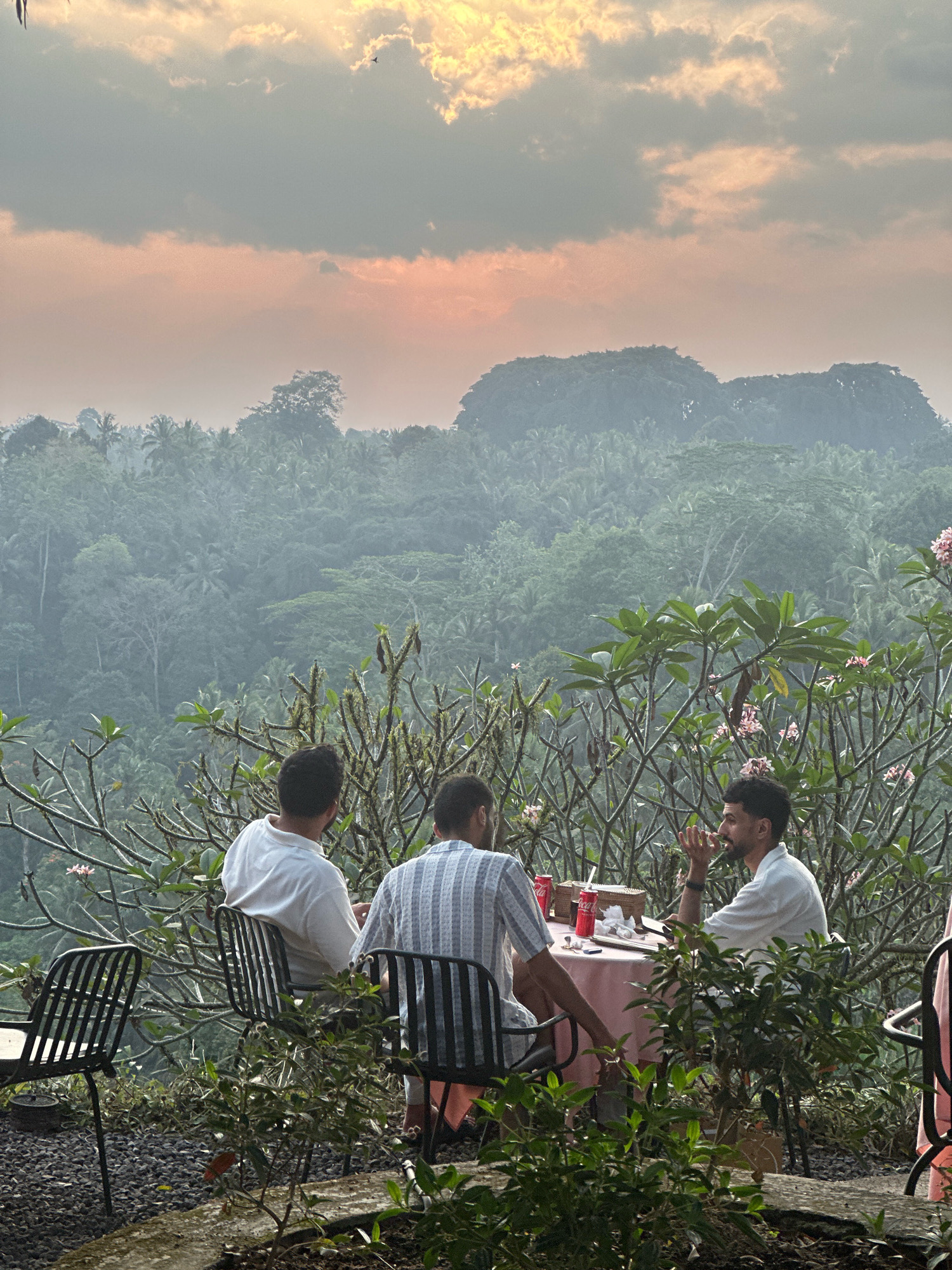 In an outdoor setting, three men are seated at a table covered with a pink tablecloth, engaged in conversation. Two of the men are facing away from the camera, while the third man, on the right, is looking towards the left and gesturing with his hands. The table is set with drinks, napkins, and a basket. They are seated on black chairs overlooking a lush, misty jungle landscape with a pinkish sky and clouds at sunset. The foreground features plants and rocks. The scene appears to be in a tropical location, possibly a restaurant or a viewpoint cafe.