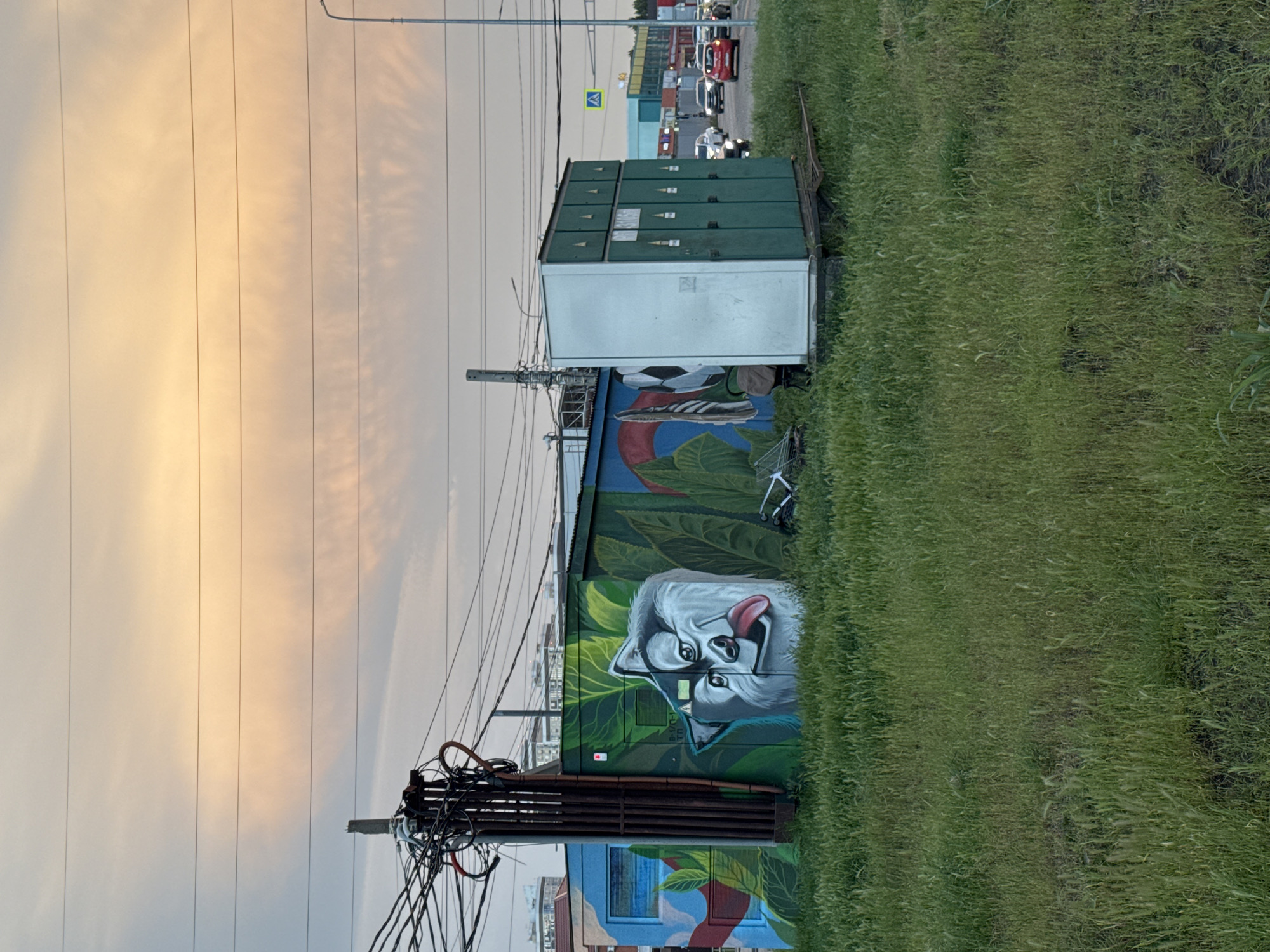 The image presents a street scene in Krasnodar, Russia, featuring an electrical utility box or substation. The box is decorated with a mural depicting a dog's head with its tongue sticking out, surrounded by green leaves. Above the dog mural, there's another section with imagery including a soccer ball and a shoe. Atop the painted box sits a series of green metal lockers.
Adjacent to the substation is a patch of dense, green grass. Overhead, a complex network of power lines is visible against a backdrop of a sky with soft, cloudy light. A utility pole, cluttered with wires and electrical components, is situated near the mural. Further in the distance, a line of vehicles can be seen on a road.