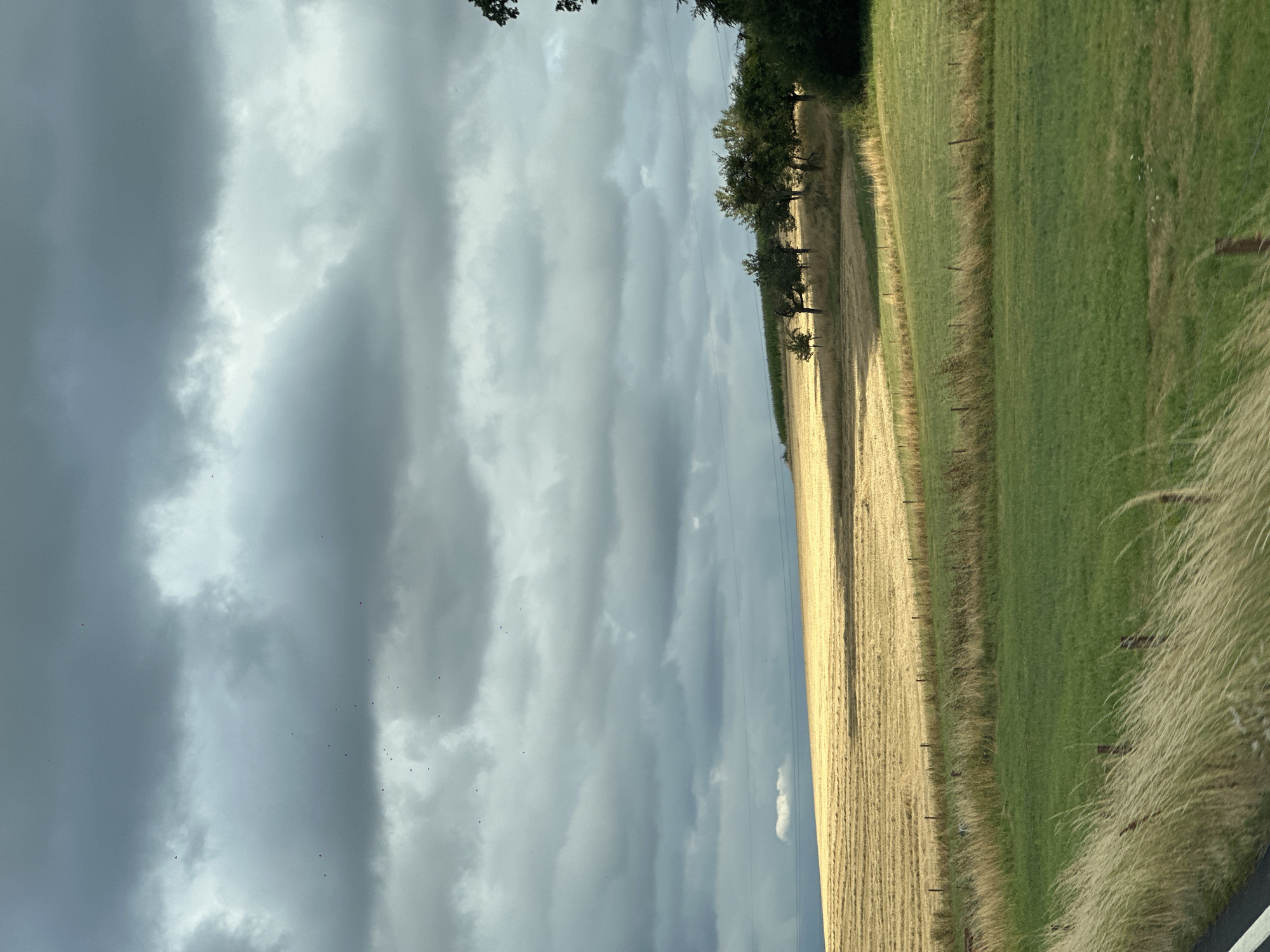 The image depicts a rural landscape in Manternach, Luxembourg. The scene is dominated by a large, golden field of harvested crops, likely wheat or barley, with visible rows suggesting recent mowing. The field slopes upwards towards a line of trees in the distance. In the foreground, there are two tiers of green grass fields, separated by a thin fence line. Tall, dry grass with feathery plumes is visible along the bottom edge of the frame, and a faint white line, possibly a road or path, is present at the very bottom left.

The sky is heavily overcast with dramatic, dark gray clouds, punctuated by patches of lighter gray and a hint of white in the distance, suggesting either breaking clouds or a distant light source. Several small, dark specks, likely birds, are scattered across the sky, particularly in the upper left quadrant. A single, small, white cloud is visible on the horizon, just above the harvested field. Electrical wires are subtly visible as thin dark lines stretching across the mid-ground. The overall impression is one of a natural, agricultural setting under a brooding sky.