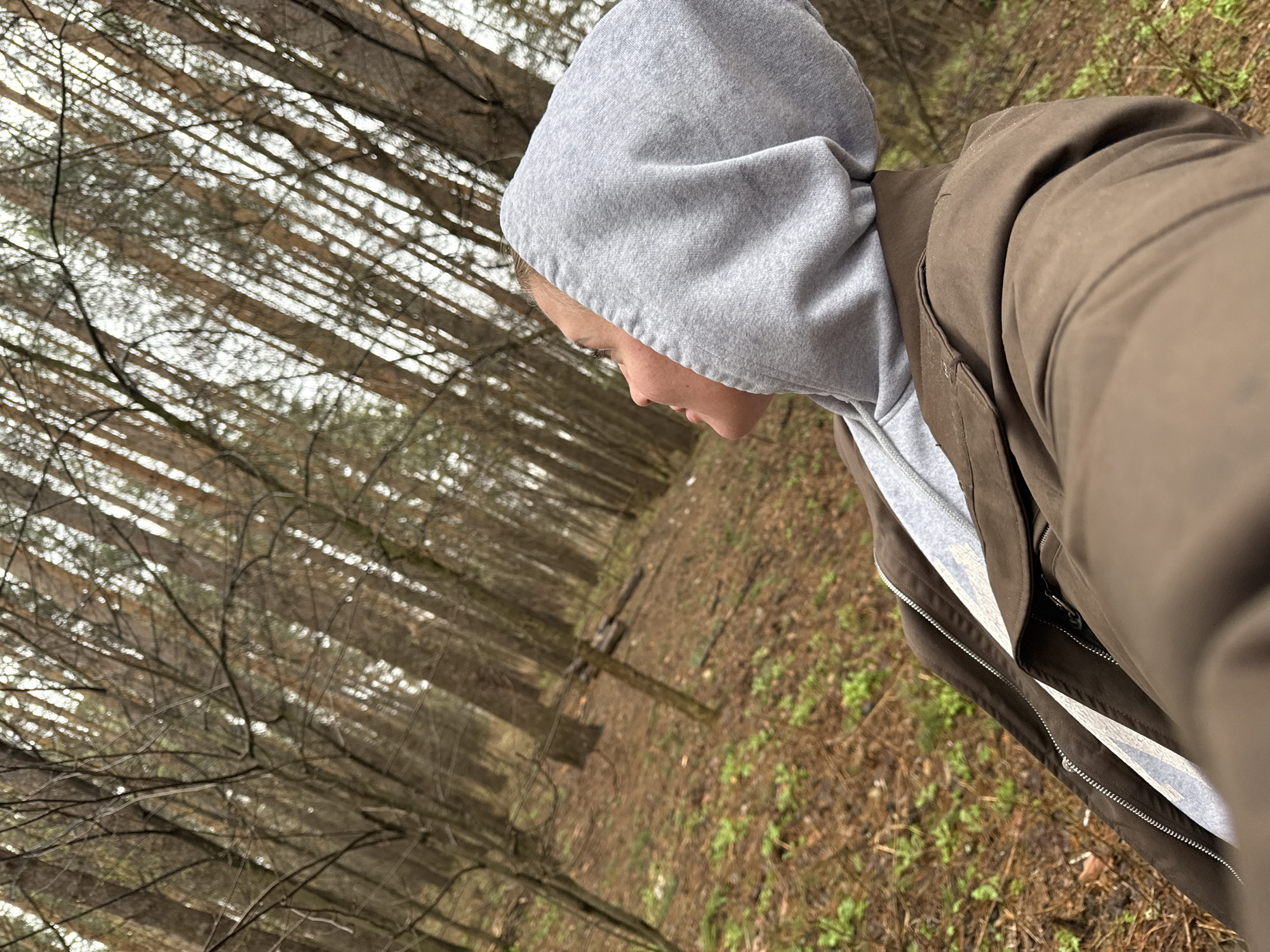 A person wearing a grey hooded sweatshirt and a brown jacket stands in a forest. The trees are tall and thin, and the ground is covered in leaves and some green vegetation. The image is tilted. The location appears to be a wooded area in or near the city of Chaikovsky, Russia.