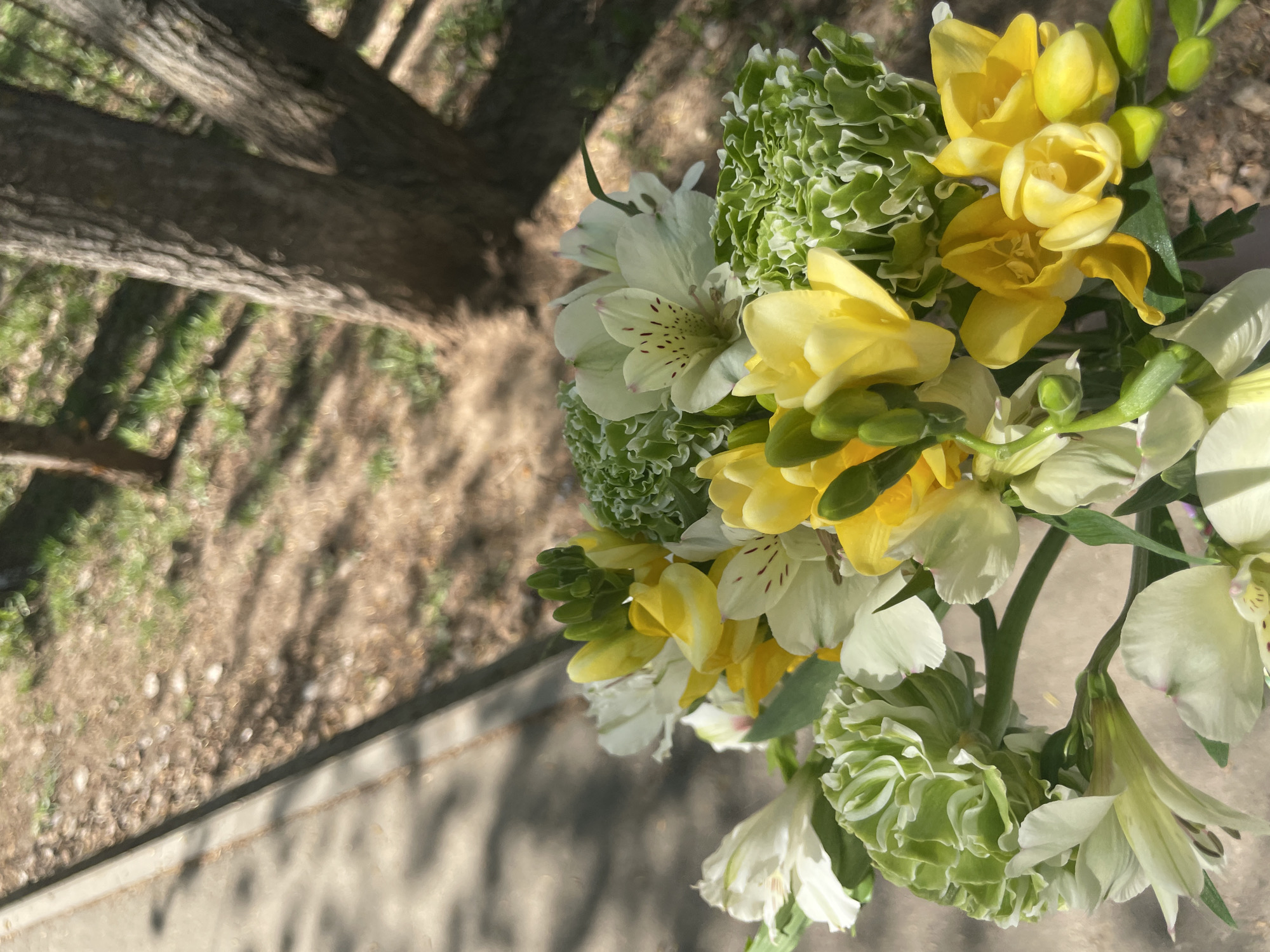 The image shows a bouquet of yellow and white flowers with green accents. The flowers are arranged on a surface that appears to be concrete or stone. To the left of the flowers, there is a tree trunk visible, and the background shows a blurred area that may be foliage or ground cover. The lighting suggests it is daytime, with shadows cast by the tree. The image does not have enough information to determine if the photo was taken in Izhevsk, Russia.