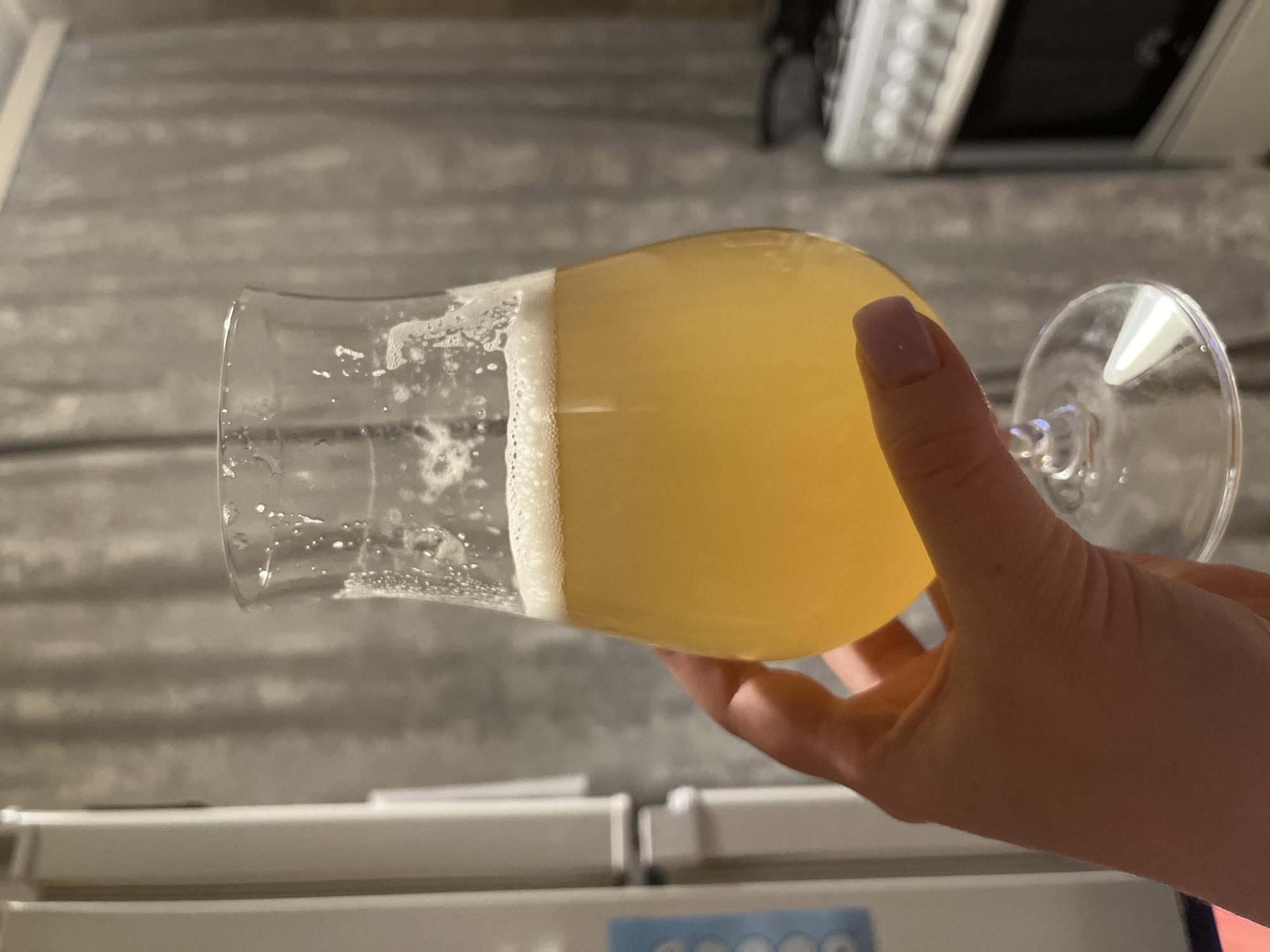 A person is holding a stemmed glass of beer with a foamy head. The beer has a yellowish color. The background shows a countertop, an appliance (possibly a refrigerator), and a blurry wall pattern. The location of Раздолье, Russia, is not evident from the image.