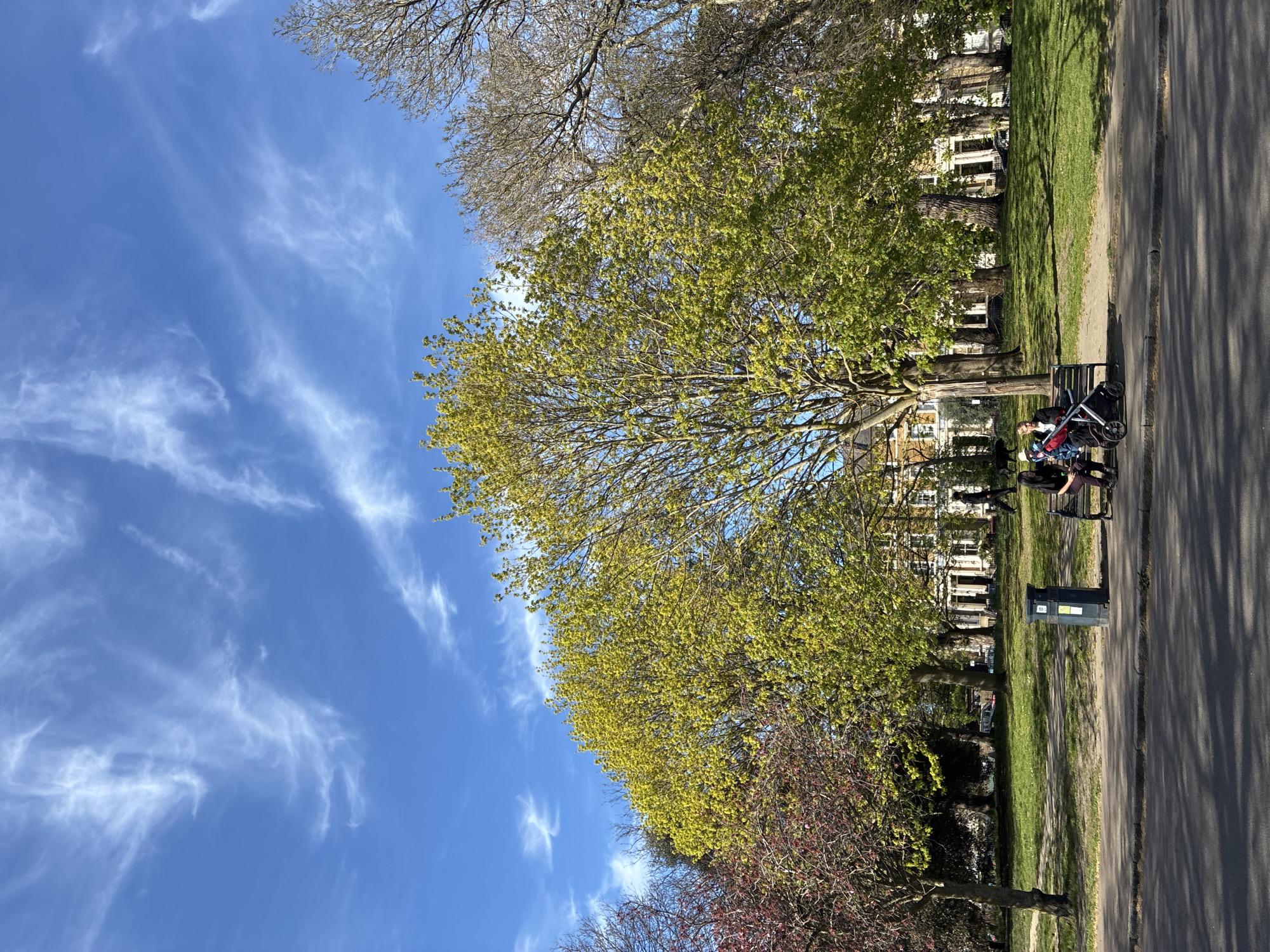 The image shows a park in London, United Kingdom. A clear blue sky with cirrus clouds forms the backdrop, contrasted by trees with green foliage. A paved pathway runs alongside a grassy area dotted with trees and benches. People are sitting on one of the benches. Buildings are visible in the background. A trash can is also seen on the pathway.