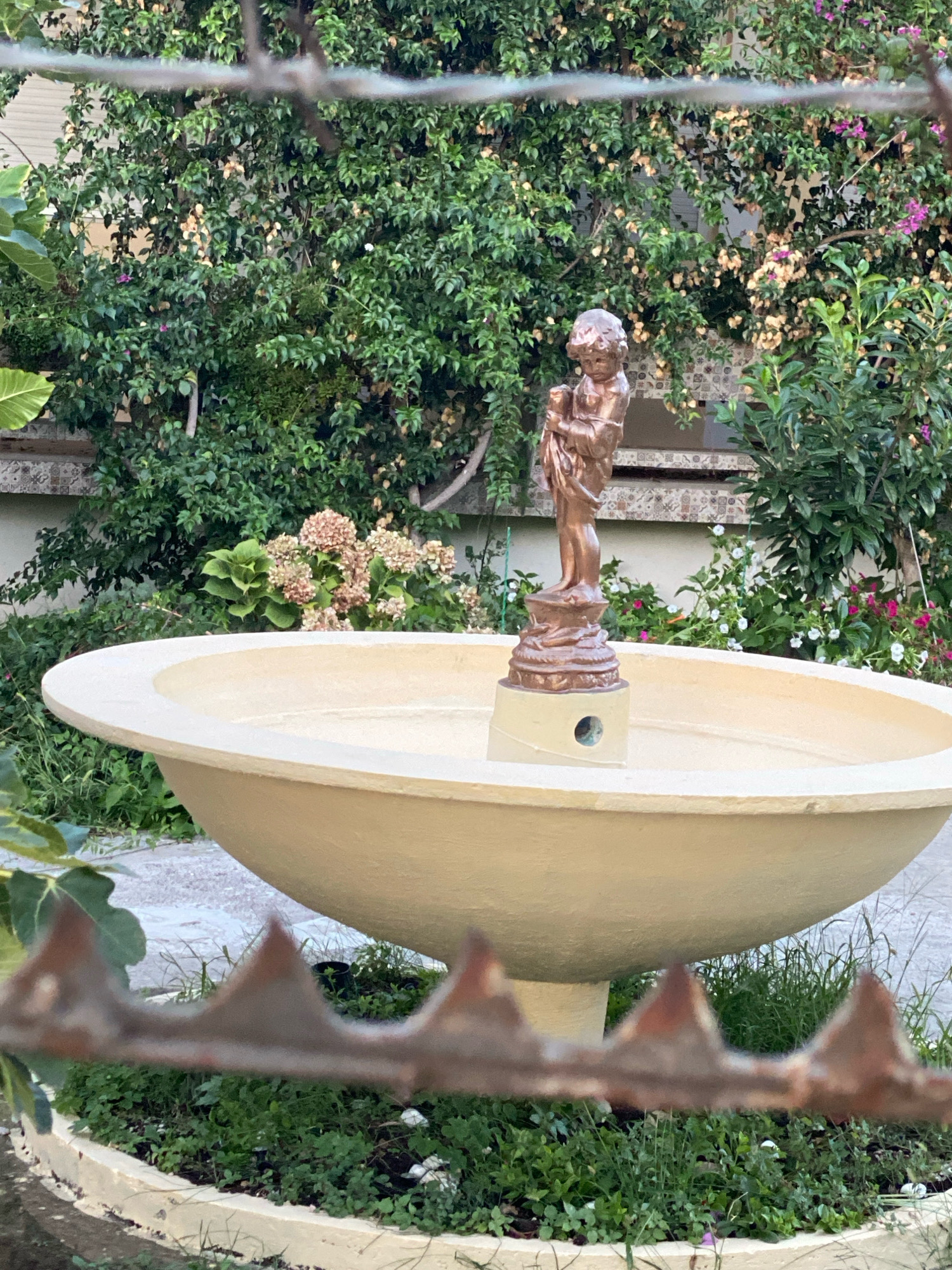 The image shows a bronze statue of a child holding a baby, positioned in the center of a shallow, cream-colored fountain. The fountain is situated outdoors, surrounded by lush green foliage and a variety of flowers, including pink and white blooms. In the foreground, a blurred, rusty metal fence with pointed spikes runs horizontally across the frame, obscuring the lower portion of the scene. The background consists of a wall with decorative tiles and more dense greenery. The overall impression is of a garden or courtyard setting. The location is identified as Bar, Montenegro, suggesting this is a decorative element within a property in that city. There are no people visible in the image.