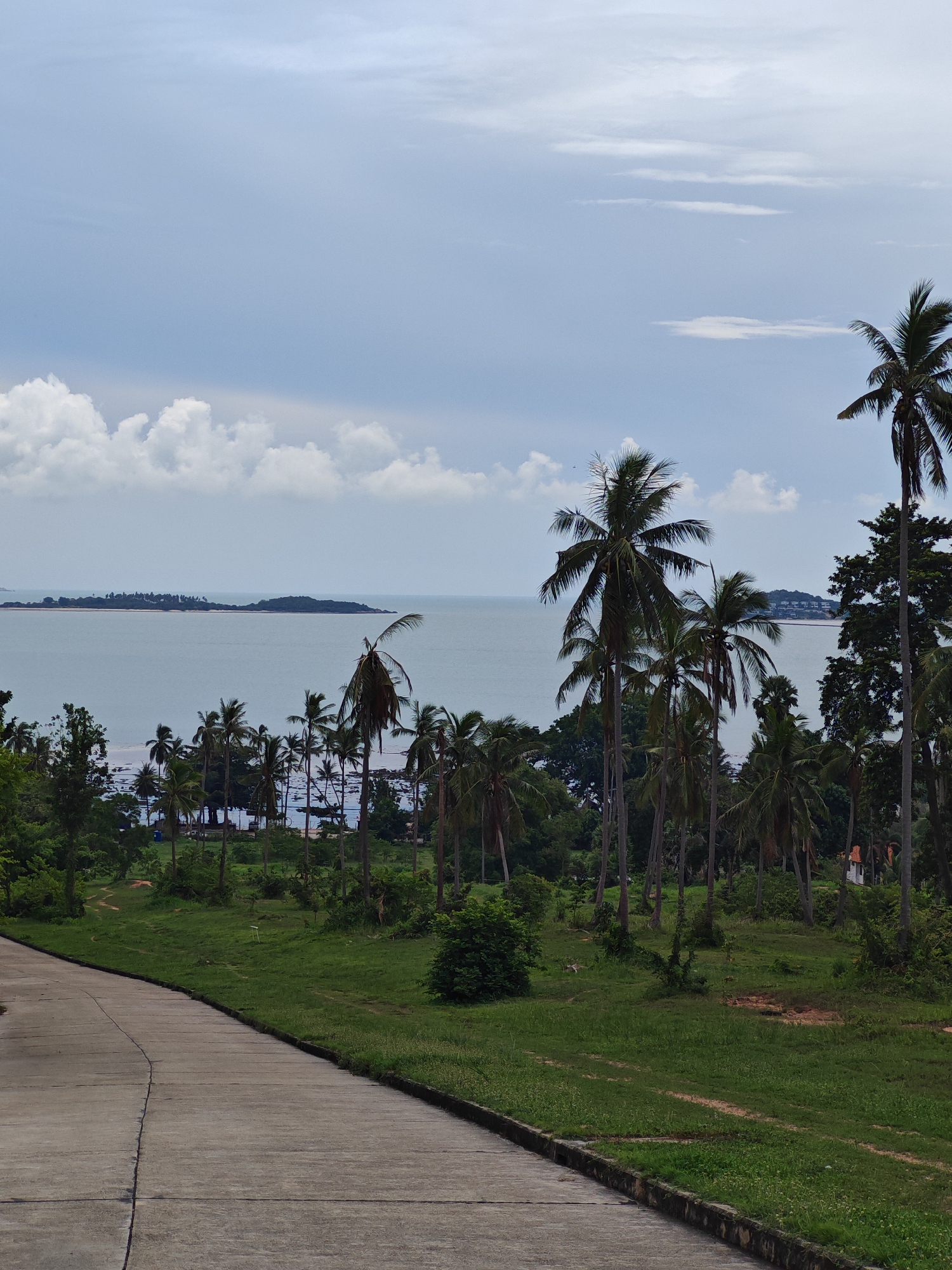 The image depicts a scenic view of the ocean and coastline in Baan Bang Rak, Thailand. In the foreground, a concrete pathway curves from the lower left corner upwards and to the right, bordered by lush green grass and vegetation. The pathway appears to be a road or sidewalk. Beyond the grassy area, a dense grove of palm trees dominates the middle ground, with their tall trunks and fronded canopies creating a tropical atmosphere.
Further in the distance, the calm, blue ocean stretches across the horizon. On the water, there are several small islands or landmasses covered with vegetation. The sky above is partly cloudy, with large white cumulus clouds scattered against a pale blue background. The overall scene conveys a peaceful and natural environment, characteristic of a tropical coastal region. There are no people or animals visible in the image. The lighting suggests it is daytime, possibly late morning or early afternoon, with diffused sunlight due to the cloud cover.