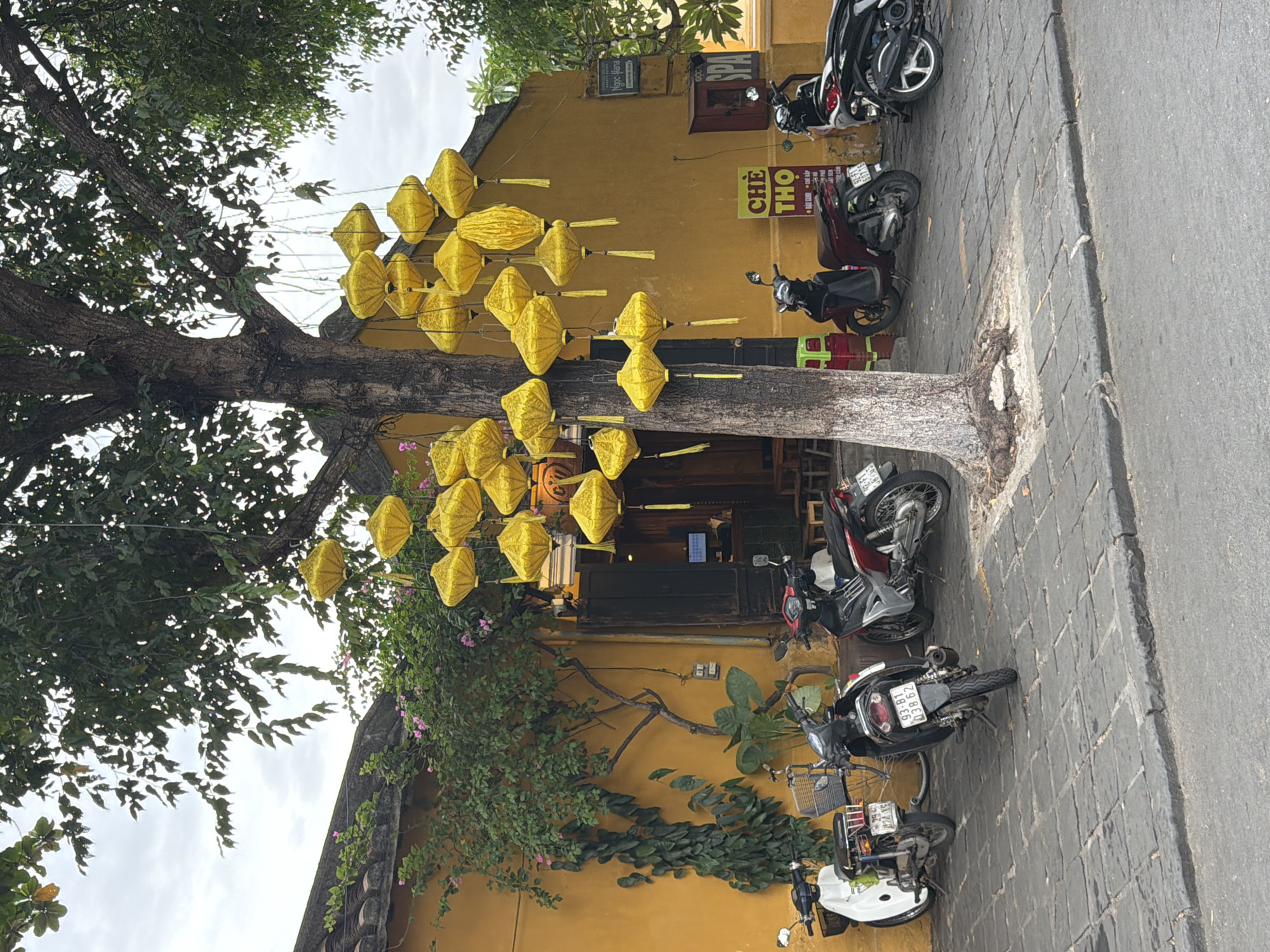 The image depicts a street scene in Hoi An, Vietnam, characterized by its distinctive architecture and vibrant atmosphere. In the foreground, several motorcycles are parked on a cobblestone sidewalk. The motorcycles vary in color, with one white scooter on the left, followed by black and red scooters to its right. A tree with a thick trunk stands prominently in the center of the frame, its branches laden with numerous yellow lanterns. These lanterns, of various sizes and shapes, are a common sight in Hoi An, adding a festive ambiance.
Behind the tree and motorcycles, a building with a bright yellow facade dominates the background. The building features a dark wooden door and window, suggesting a shop or restaurant. Ivy and flowering vines climb the yellow wall, adding a touch of greenery. Signs with Vietnamese text are visible on the building, including one that reads "CHÈ THO" and another with the name "NGỌC HÀ." The overall impression is a snapshot of a typical day in the charming ancient town of Hoi An, with its blend of cultural elements and daily life.