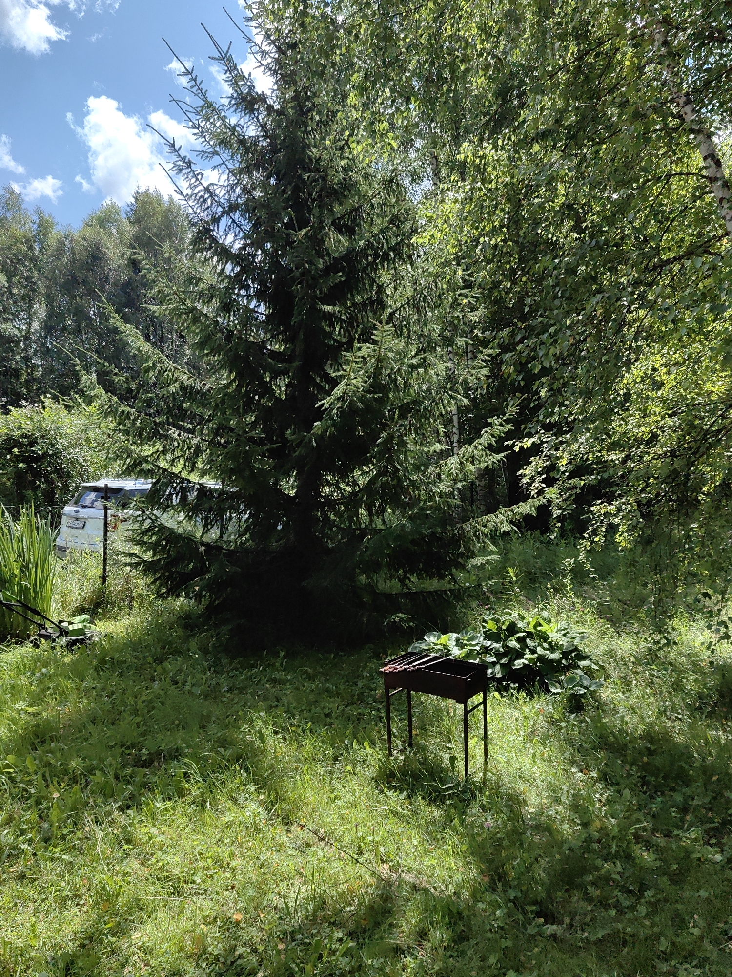A medium shot captures a sunny outdoor scene in a grassy, wooded area. In the foreground, a dark metal barbecue grill stands on four legs, with skewers of meat visible inside. To the left, a green electric lawnmower sits on the grass, next to tall green reeds. In the background, a white SUV is parked behind a thin black fence, partially obscured by a large evergreen tree. The environment is lush with various shades of green foliage from trees and undergrowth, with patches of sunlight filtering through the leaves. The sky above is blue with scattered white clouds.