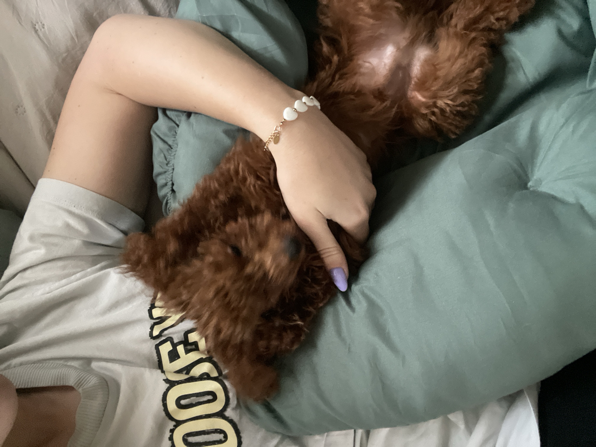 A human is lying on a bed covered with pale green sheets. A brown poodle is lying on the human's chest. The human's arm is draped over the poodle, and they are wearing a bracelet with white heart-shaped beads. The human is wearing a t-shirt with large black letters. The fingernails on the hand touching the dog are painted a pale purple. The exact location in Sofia, Bulgaria, is not evident from the image.