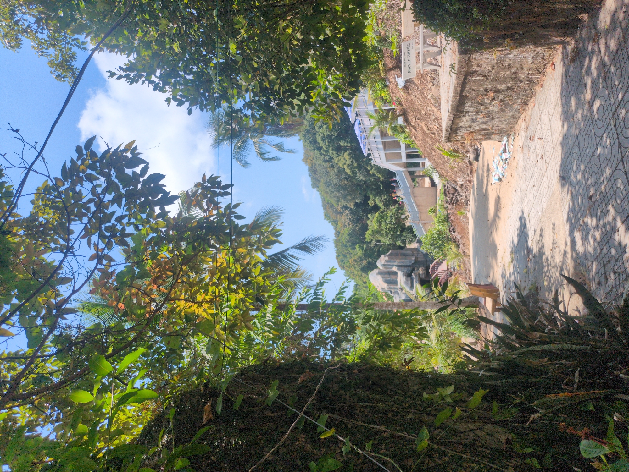 The image shows a park setting, likely in Phú Quốc, Vietnam, with a view framed by lush trees and vegetation. The sky is visible through the trees, revealing a partly cloudy, bright day. In the distance, a building with white railings and blue accents is visible, partially obscured by trees. The foreground features dense foliage, including what appear to be snake plants. A paved path or walkway extends from the bottom right corner towards the building. Adjacent to the walkway is a concrete structure or wall with visible erosion. A sign is mounted on the wall, with visible words "NGUYEN THI MIEU." Further along the path, there is a stone formation. Debris or discarded materials are scattered next to the wall.