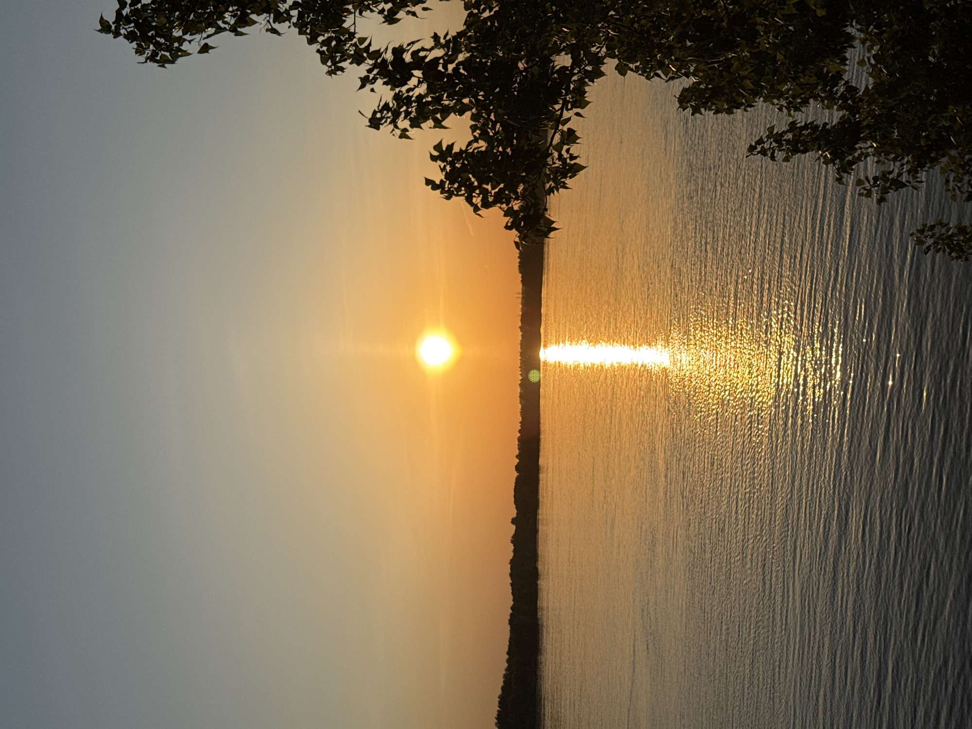The image depicts a sunset over a body of water, likely the Kama River in Chaikovsky, Russia, with trees and foliage in the foreground partially obscuring the view. The sun is a bright, circular light source near the center of the image, reflecting as a shimmering streak on the water's surface. The sky transitions from light blue to orange and yellow hues around the sun, indicating the time of day. The water shows fine, vertical ripples reflecting light. Dark vegetation can be seen along the water's edge. The scene is static with no apparent human presence or activity.