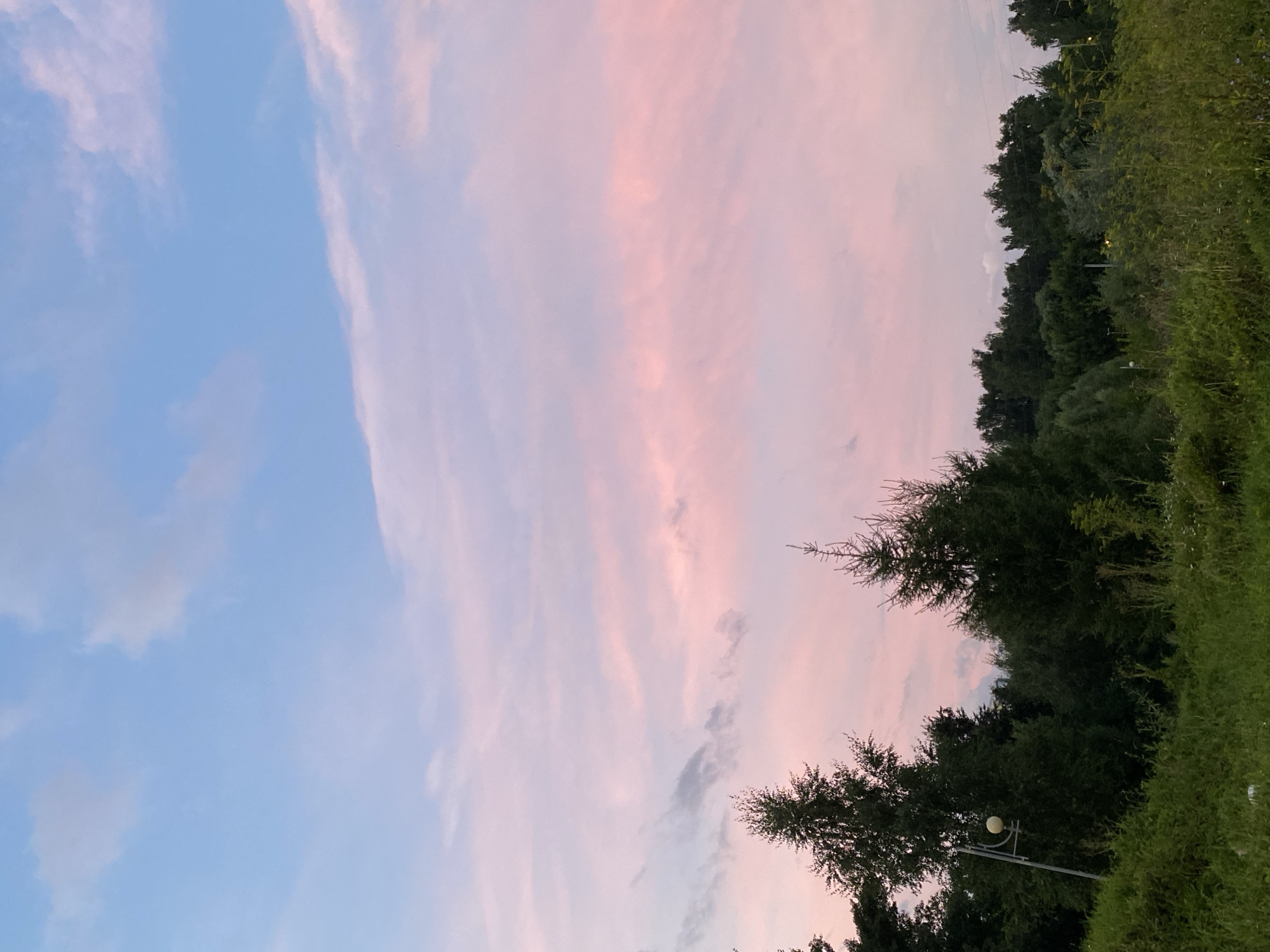 A low-angle shot captures a dense green hillside topped by a line of trees under a sky painted with pastel pink and blue clouds. In the foreground, tall, lush green grass and weeds create a textured foreground. A single lamppost with a round, white light fixture stands to the left amidst the trees. The background is dominated by the sky, with wispy pink and pale gray clouds stretching across the horizon, transitioning to a soft blue at the top of the frame.