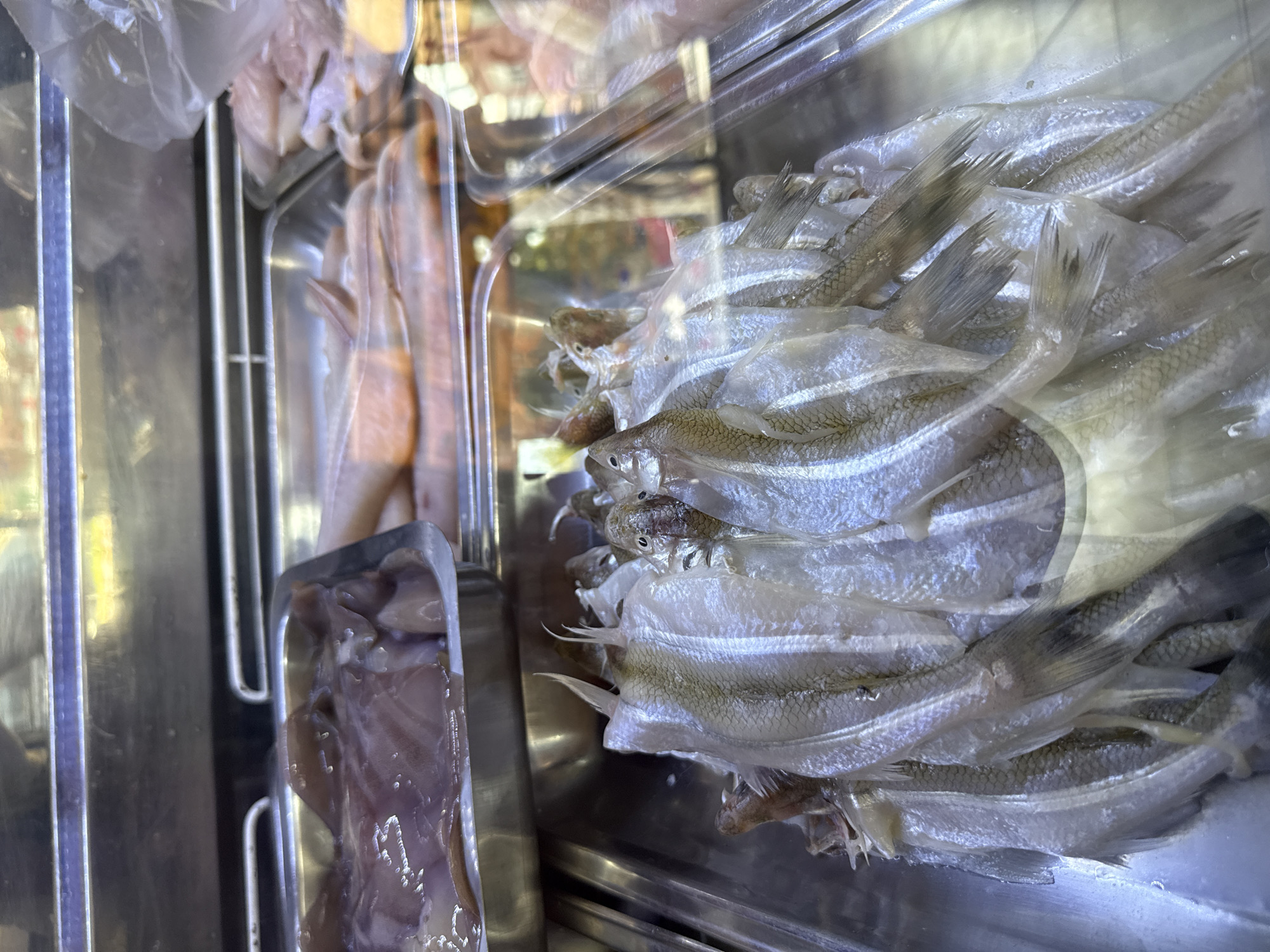 The image shows a display of fish and other seafood in what appears to be a refrigerated case, located in Villa General Belgrano, Argentina. The fish are small and silver, stacked on top of each other. To the left, in separate compartments, are other types of seafood, including what appear to be chicken and calamari. The display is likely in a market or fishmonger's shop. The fish appear to be on ice, or a similar cooling substance, to maintain freshness. The scene is viewed through a reflective surface, possibly the glass of the refrigerated case.