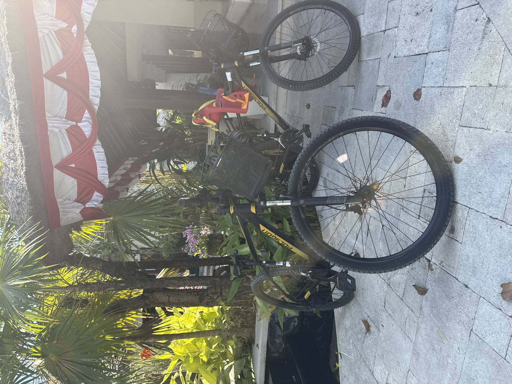 The image captures two bicycles parked on a tiled walkway outside a building with a thatched roof and red and white draped fabric. Lush green palm trees and other foliage are visible behind the bicycles. One bicycle, in the foreground, is black with yellow accents and has a basket attached to the handlebars. The other bicycle, partially visible to the left, is also black with yellow accents and has a basket. A red child seat is attached to the rear of the bicycle on the right. The scene suggests an outdoor setting, possibly a resort or a residential area in Denpasar, Indonesia, given the tropical vegetation and architectural style. The lighting indicates it is daytime, with sunlight filtering through the trees. There are no people in the image.