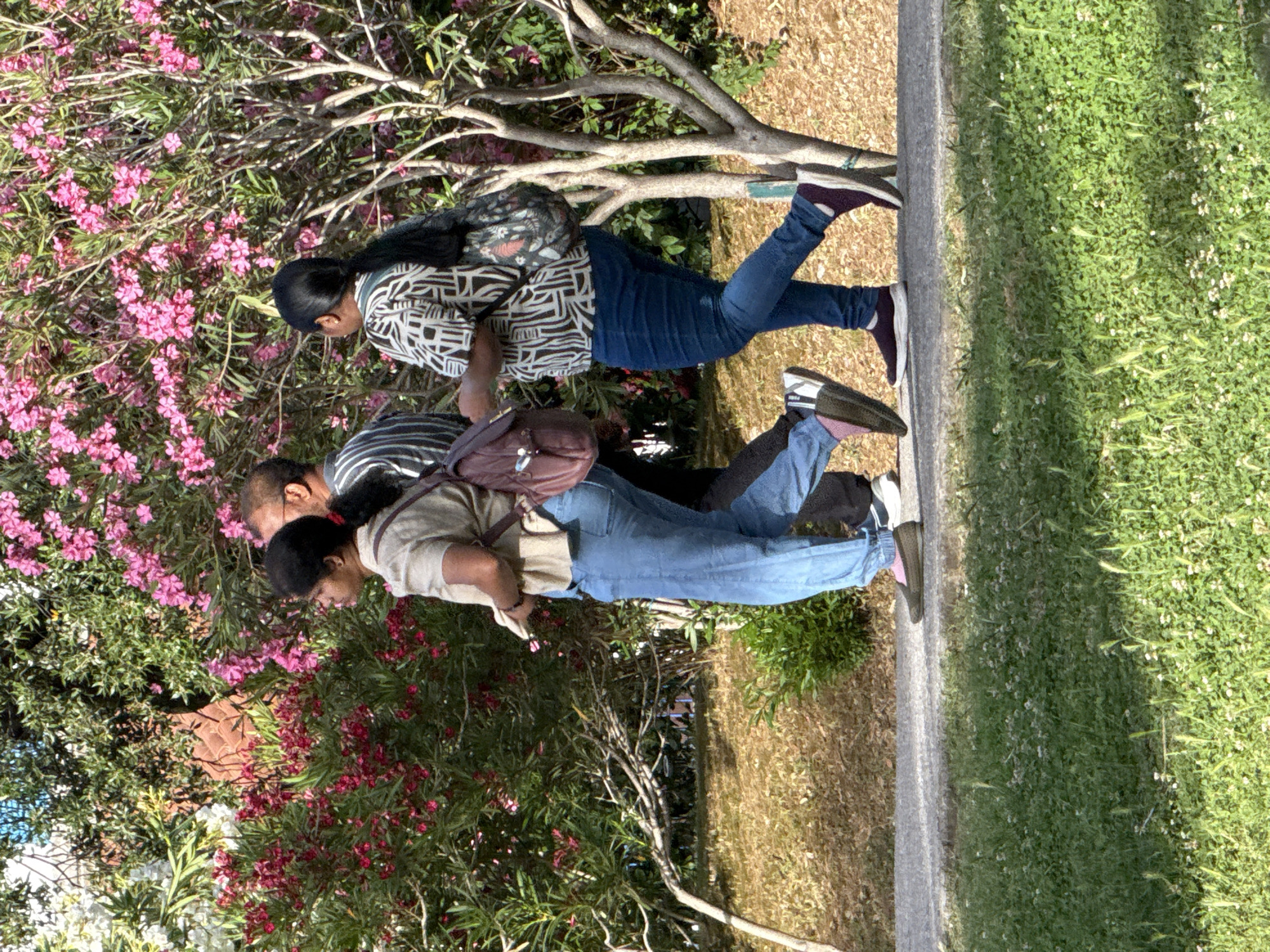 The image depicts three individuals walking along a paved path adjacent to a grassy area. The path is bordered by dense foliage with pink and red flowers.
The person on the left, a woman, is wearing a light brown short-sleeved shirt and faded blue jeans. She has a maroon backpack on her right shoulder and is holding a white object in her left hand.
The person in the middle, an adult male, is wearing a striped shirt and appears to be walking slightly ahead of the woman.
The person on the right, a woman, is wearing a patterned short-sleeved shirt with a black and white geometric design and dark blue jeans. She is carrying a patterned backpack on her left shoulder.
The environment suggests a park or garden setting, likely in a warm climate given the flowering bushes. The lighting indicates it is daytime, with sunlight casting shadows. There are no specific landmarks visible that would definitively place this scene in Budva, Montenegro.