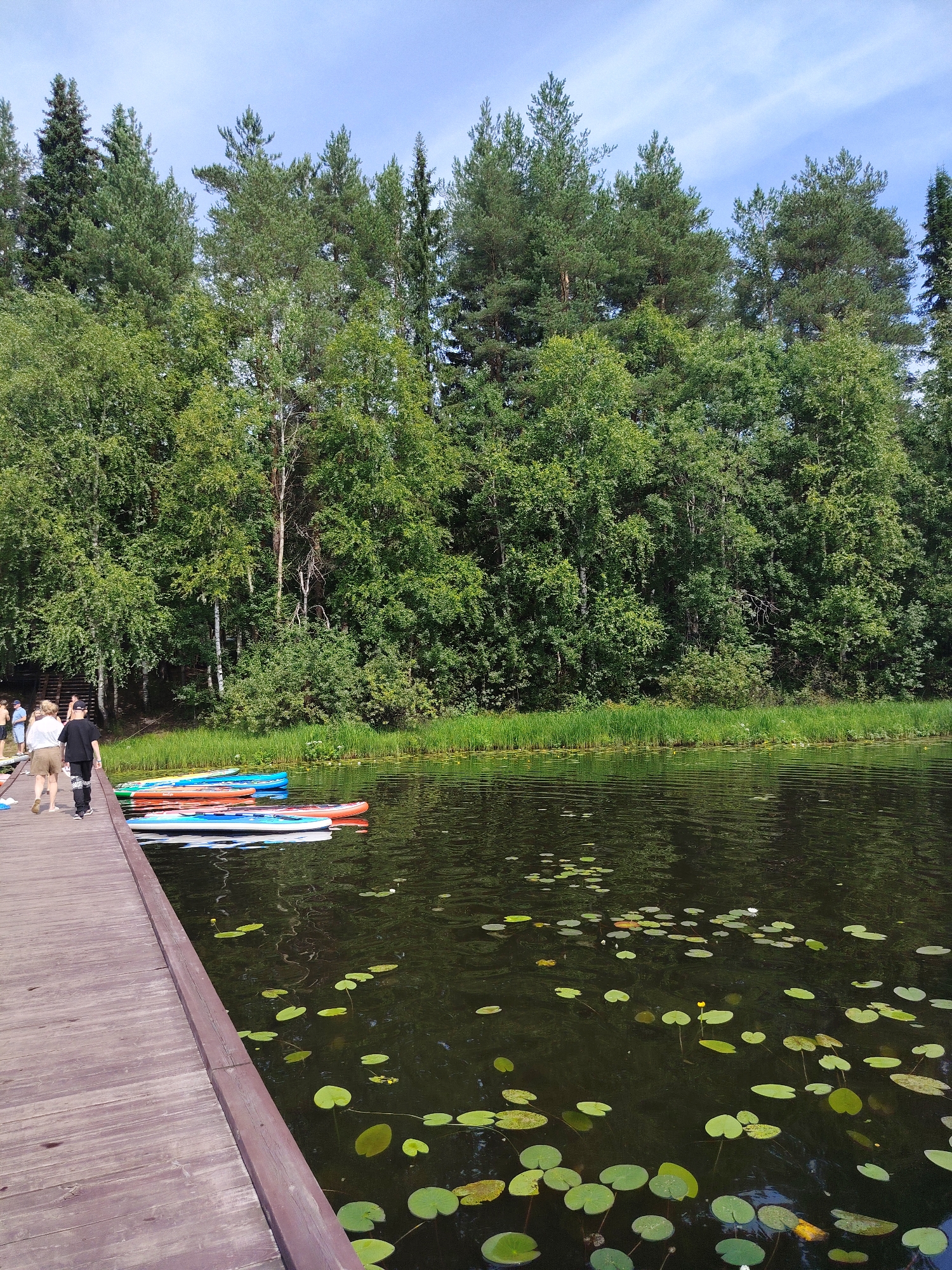 The image depicts a serene natural scene at a waterfront location, likely the city of Vyltydor, Russia. In the foreground, a wooden boardwalk stretches diagonally from the left, leading towards the water. Several people are walking on the boardwalk, appearing to be enjoying a leisurely stroll. In the water, a row of paddleboards are docked, ready for use. The water is dark and reflects the surrounding lush greenery. Lily pads are scattered across the surface, with a few small yellow and white flowers blooming amongst them. The background is dominated by a dense forest of various trees, with a clear blue sky above. The overall atmosphere is peaceful and inviting, suggesting a popular spot for outdoor recreation.