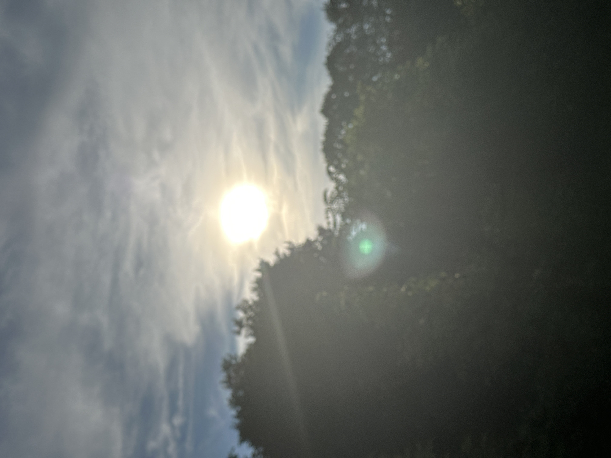 The image depicts a bright sun in a cloudy sky, with the sun’s rays creating a lens flare effect. Below the sky, the dark silhouette of lush green trees fills the lower portion of the frame, obscuring any details of the ground or environment. There are no people or identifiable objects visible in the scene, making it impossible to determine a specific location within Vladimir, Russia or any other city. The overall impression is that of an outdoor natural setting, possibly a park or a wooded area, viewed during daylight hours with the sun positioned high in the sky.