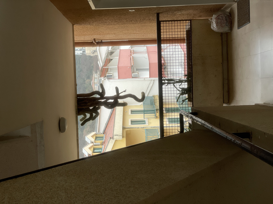 This image depicts a balcony or outdoor landing within a residential building in Budva, Montenegro, viewed on an overcast day. From the beige ceiling, a cluster of thick, serpentine, green and brown cactus-like plant growths hangs centrally. A circular white light fixture is also affixed to the ceiling. To the immediate left, a textured beige wall slopes upward, accompanying a dark metal handrail. Directly in front of the viewer, a dark metal grid railing extends across the width of the balcony, behind which a planter box contains dry, stick-like vegetation. The light-colored tiled floor shows a dark doormat near a white plastic bag resting against a textured, terracotta-colored wall on the right. Beyond the railing, a dense urban landscape is visible, featuring several multi-story buildings: a prominent yellow building with a red tiled roof and green balconies is on the left, while a white building with pink-trimmed balconies and visible air conditioning units stands to the right. A forested hillside or mountain, topped by a cellular tower, forms the distant background under a uniformly gray sky.
