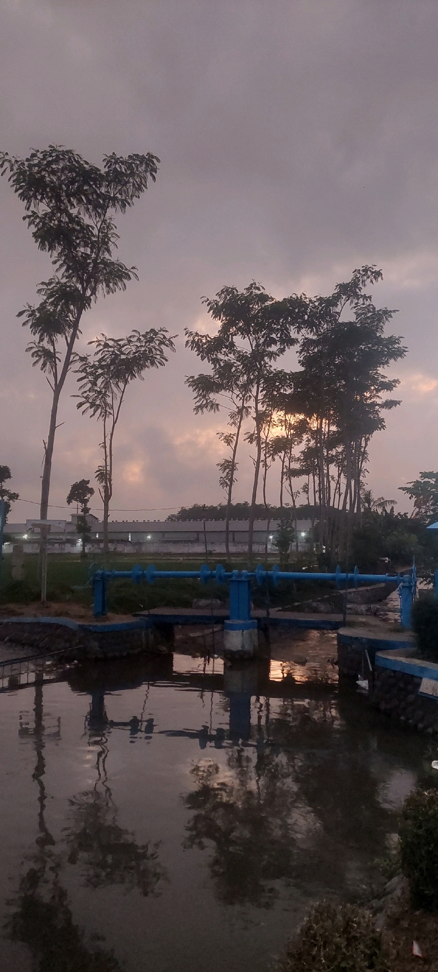 This is a full-frame, vertical, eye-level shot of a water channel and surrounding landscape at dusk, taken in Jogoyudan, Indonesia. The scene is dominated by a canal in the foreground, reflecting the sky and the trees. A blue metal sluice gate mechanism spans across the channel, supported by concrete pillars. The water's surface is disturbed by ripples, creating abstract reflections of the overhead structures and vegetation.
Beyond the water channel, a low stone wall lines the bank, topped with some dark, leafy plants. Further back, a long, low-lying building with a light-colored facade and a dark roof stretches across the midground, possibly a warehouse or factory. A line of tall, slender trees with sparse foliage stands in front of this building, their silhouettes dark against the hazy, overcast sky. The sky itself is a muted palette of grays and purples, with hints of soft orange and yellow light breaking through, suggesting the fading light of sunset. The overall impression is one of quietude and the transition from day to night in a semi-industrial or rural setting. No people are visible in the image.