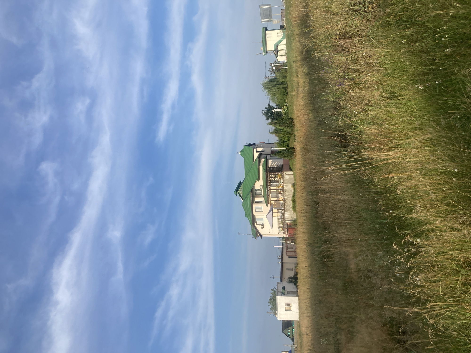 The image depicts a rural landscape in Яглевіцкі сельскі Савет, Belarus. In the foreground, a field of dry, tall grass dominates the scene, interspersed with scattered wildflowers. In the middle ground, several buildings are visible. The most prominent is a two-story house with a distinctive green, multi-peaked roof. It has a light-colored facade, balconies, and several windows. To the left of this house are smaller, white buildings. Further in the distance, another building with a green roof and a white facade can be seen, along with some trees. The sky above is a clear blue with wispy white clouds. The overall impression is one of a serene, countryside setting.