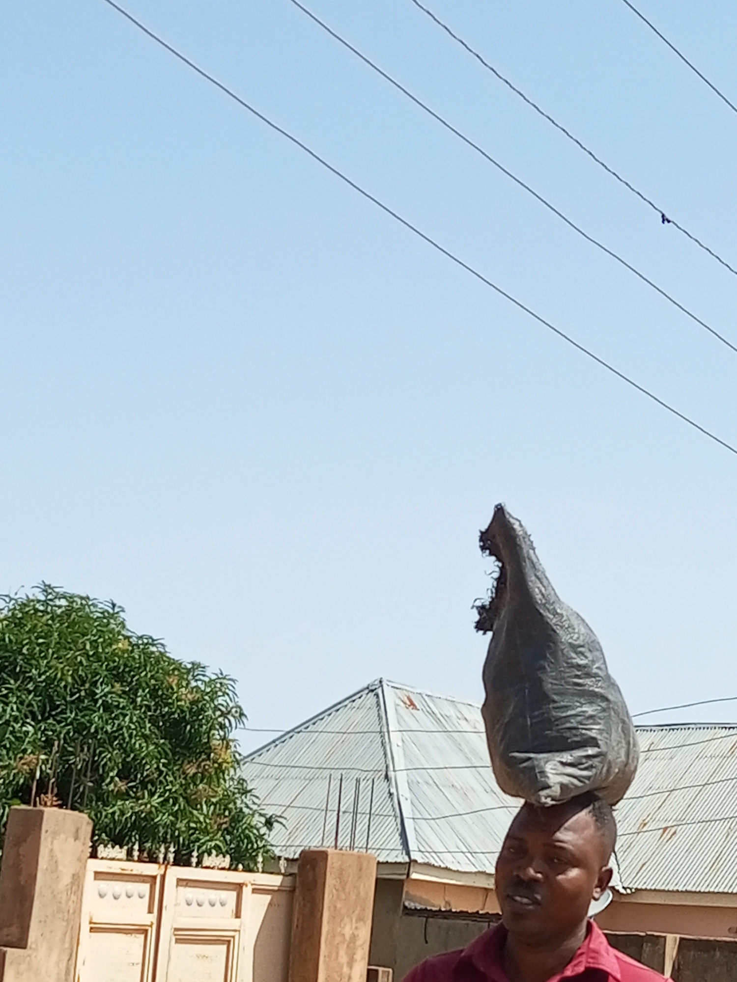 In Tempure, Nigeria, a man balances a large, black trash bag on his head, his face turned slightly to the side. He wears a maroon collared shirt. Behind him, a dense green tree stands to the left, and to the right, the corrugated metal roofs of several buildings are visible. Utility wires are strung across the pale blue sky overhead.