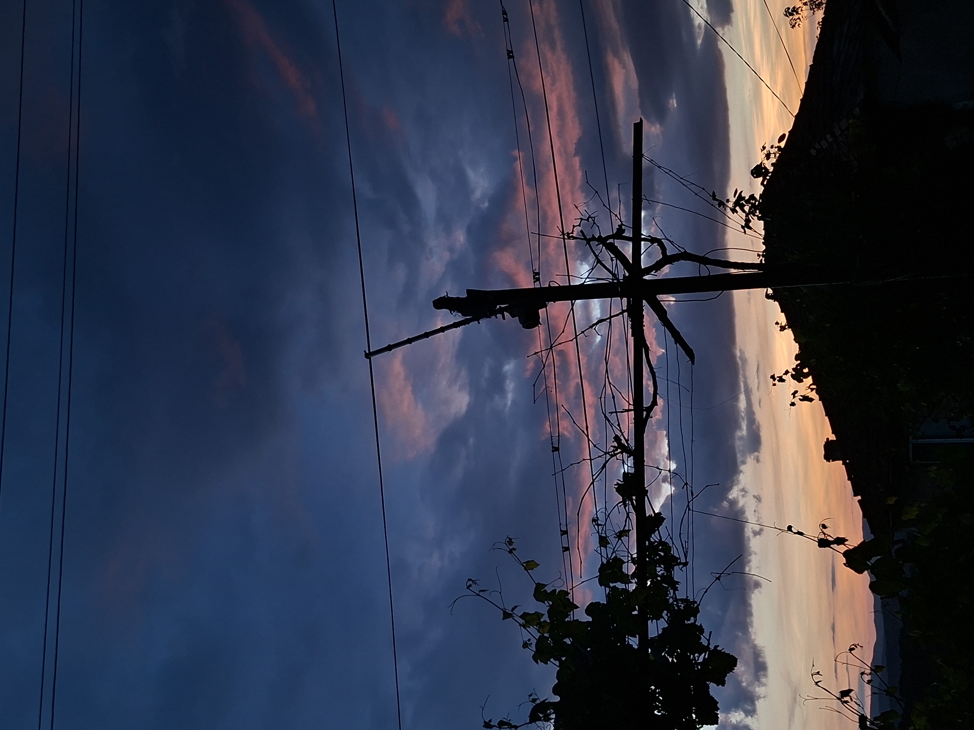 The image presents a landscape at dusk or dawn in what is presumed to be Pokrovan, Bulgaria. A utility pole stands prominently in the scene with connected power lines traversing the sky. Silhouetted branches and foliage are visible around the pole and near the bottom of the frame. The sky exhibits a gradient of colors, from dark blue towards the left to orange and pink hues near the horizon on the right. A silhouette of what appears to be a structure with vegetation on top is also visible.