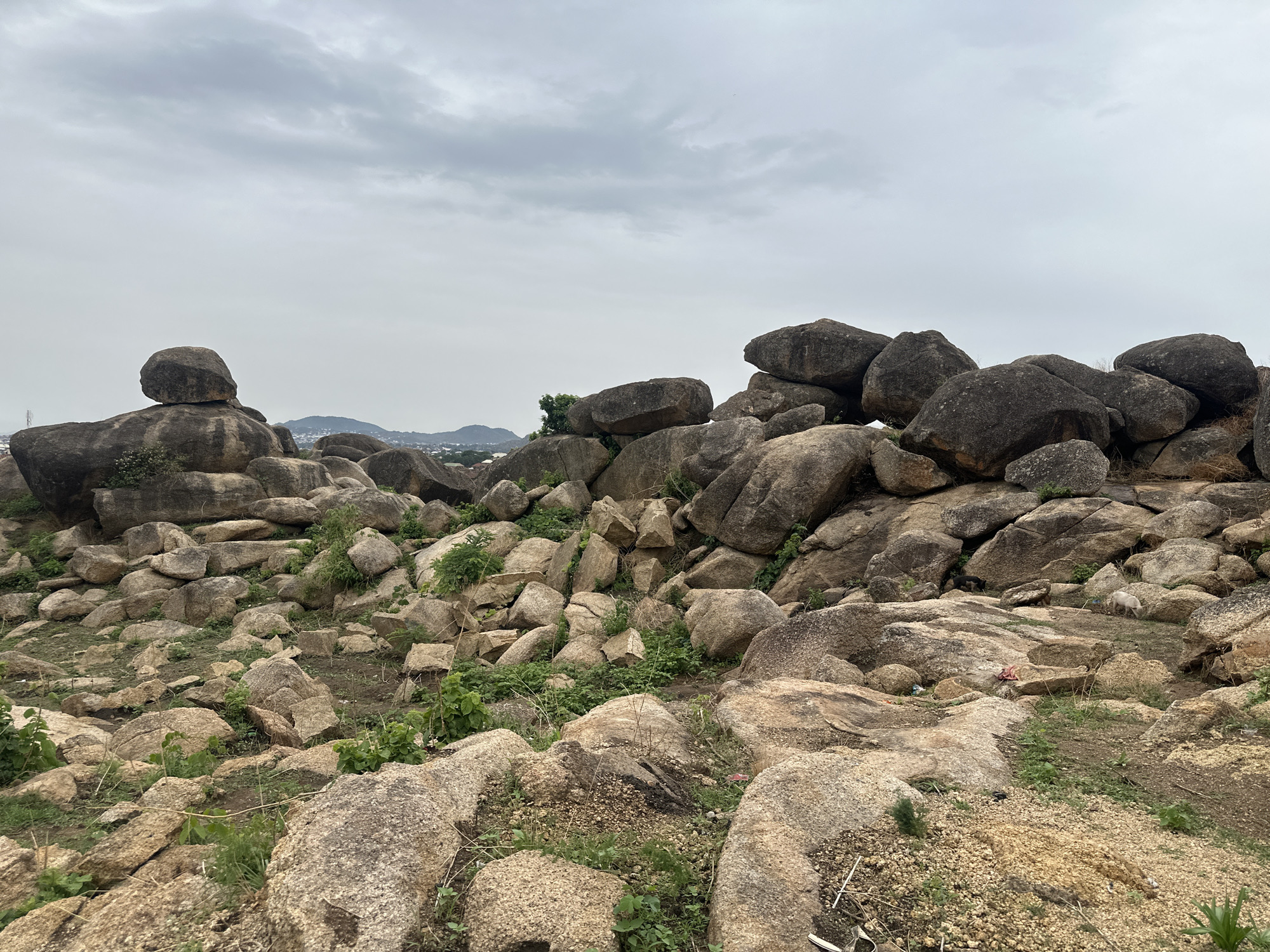The image depicts a rocky landscape with various sizes of boulders and scattered vegetation under an overcast sky. In the background, hints of a city or town are visible, with a low mountain range on the horizon. The foreground is dominated by light-colored rocks mixed with patches of greenery. Some of the larger rocks are darker in color and clustered together. There are no people visible. This location is in the city of Jos, Nigeria.