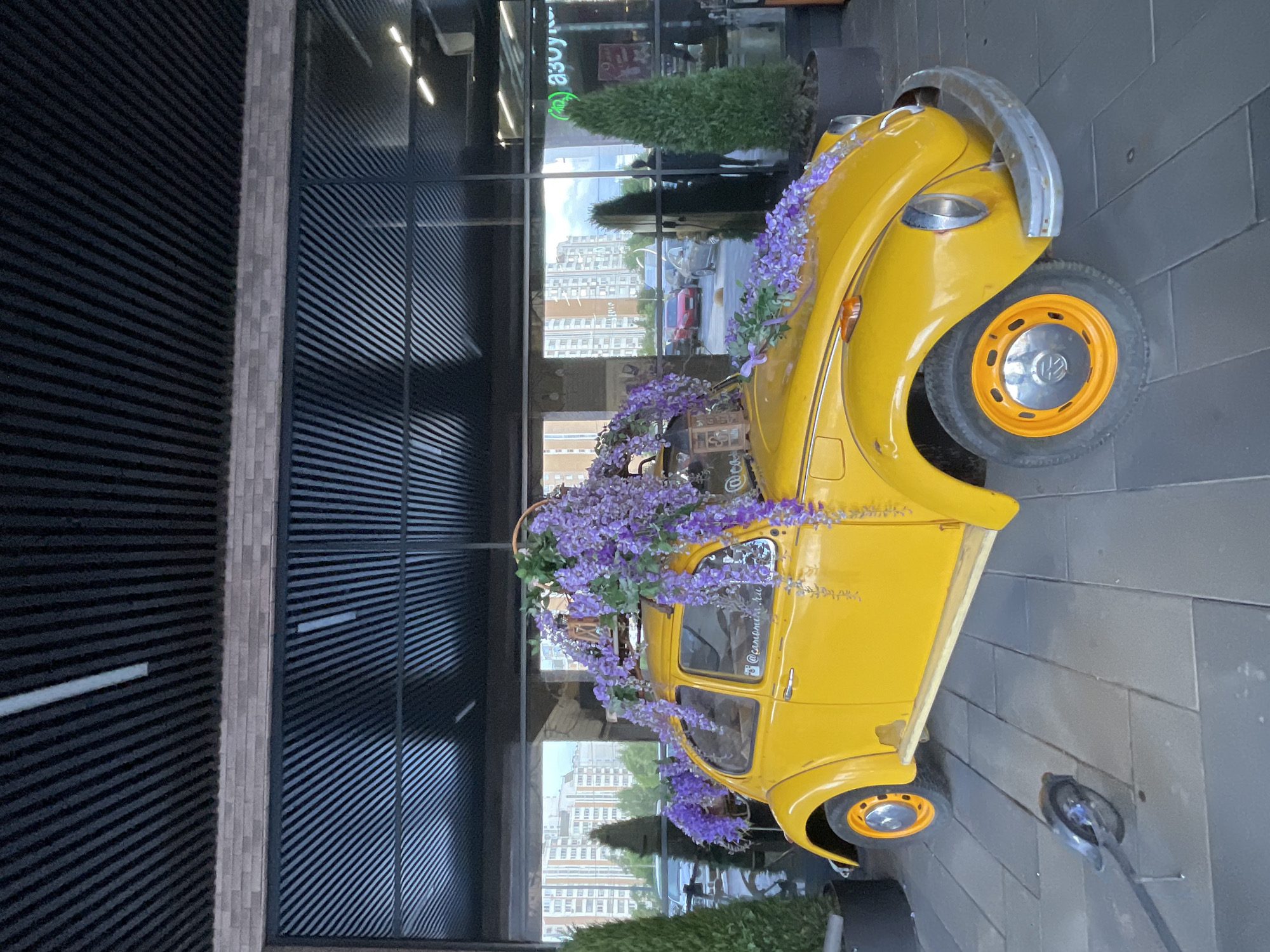 An outdoor scene captured from a low angle features a yellow vintage Volkswagen Beetle adorned with cascading purple wisteria. The car is parked on a paved walkway under a dark, slatted overhang. In the background, large glass windows reveal buildings and other cars, suggesting an urban setting. Two conical evergreen trees in dark planters flank the car. A lamppost-like object is visible on the left side of the frame in the foreground. The overall impression is one of a decorative display, possibly outside a business or event space. The reflection in the glass shows buildings and a sky that appears overcast. The car itself has a few visible signs of wear, such as rust on the lower body panel near the front wheel.