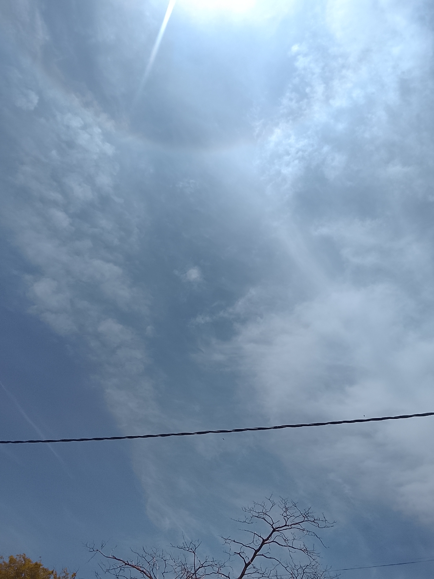 The image shows a daytime view of the sky, likely in Altagracia, Venezuela, with high clouds and a bright sun exhibiting a halo effect. A dark power line stretches across the lower portion of the frame, with bare branches of a tree visible beneath it. Patches of greenery are seen in the lower left.