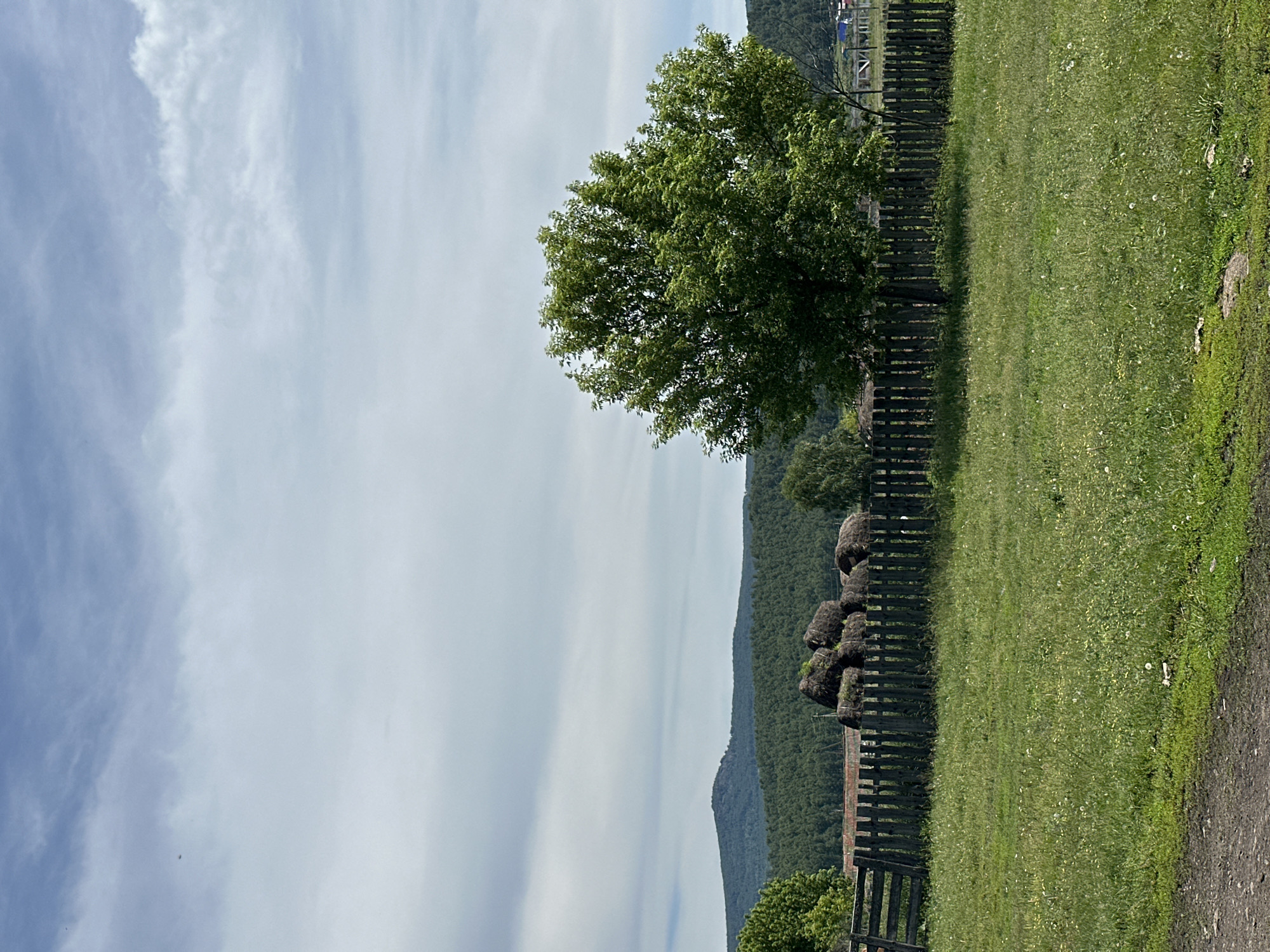 This is an exterior, full-shot, eye-level photograph taken on a cloudy day. In the foreground, a dirt path leads into a grassy field dotted with small white flowers. A weathered wooden fence runs horizontally across the mid-ground, separating the field from a pile of stacked hay bales. Behind the hay bales, a large, leafy green tree stands prominently in the right mid-ground. The background features a dense, dark green forest covering rolling hills, with a distant mountain range visible beyond. The sky is filled with streaks of white and gray clouds. There are no people or animals visible in the scene.