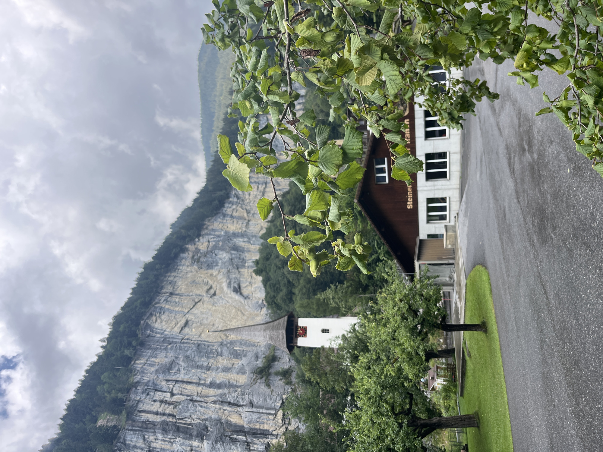 The image depicts a view of the Wengen church tower and a building with signage that reads "Steiner" and "tan.n" in Wengen, Switzerland. The church tower is white with a dark, pointed roof and a clock face. It is surrounded by trees. In the foreground, a building with large windows and a dark wooden roof is visible, partially obscured by a tree with green leaves and developing nuts. The scene is set against a backdrop of a steep, rocky cliff face covered in trees at the top. The sky is overcast with clouds. The ground in the foreground is paved with asphalt.
