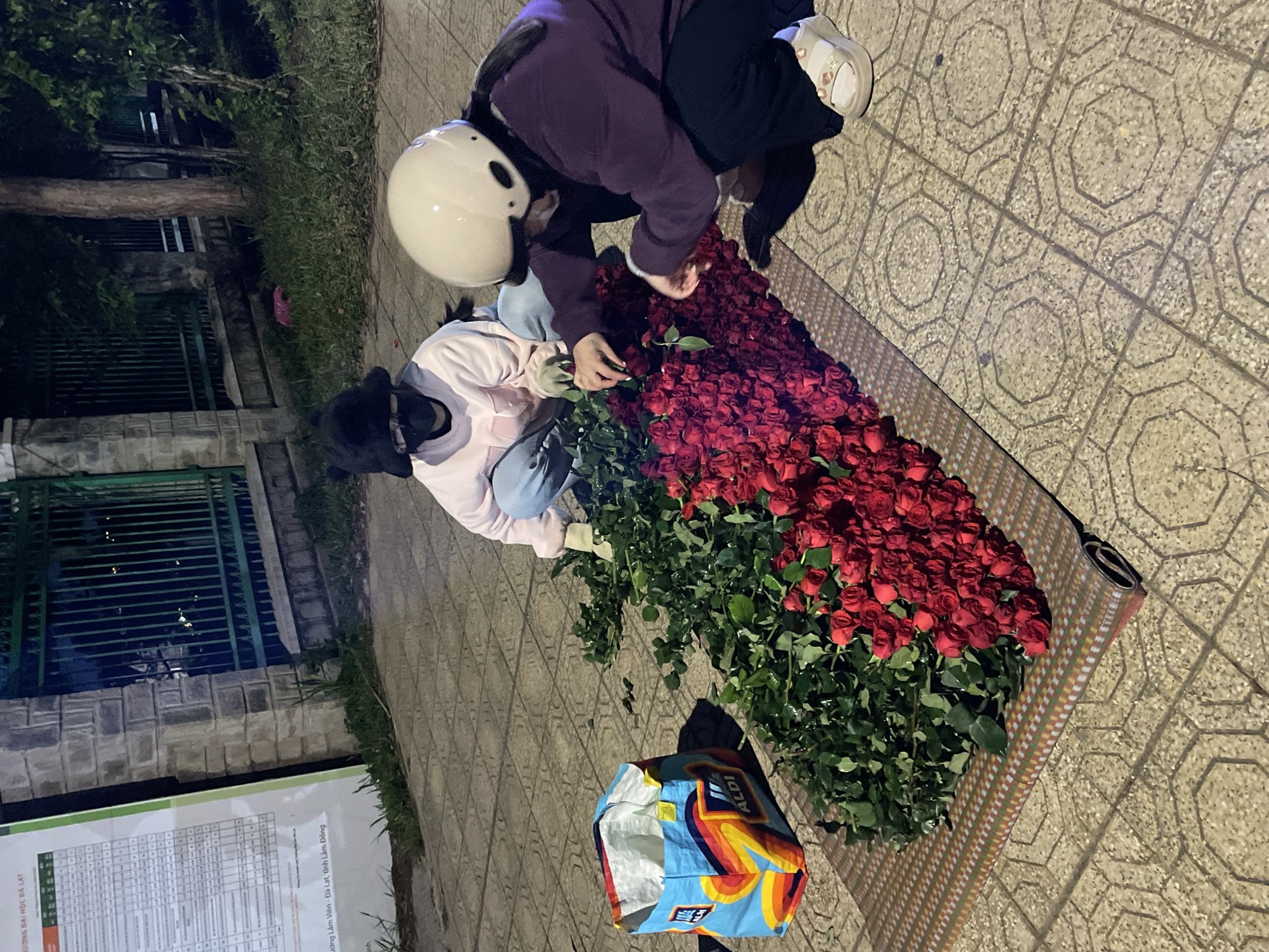 Two individuals, one wearing a black hat and face mask, the other a white helmet and face mask, are crouched on a patterned concrete sidewalk in Lâm Viên - Đà Lạt, Vietnam. They are arranging a large quantity of red roses. The roses are laid out on a woven mat, with their stems extending to the left, some of which are being handled by the individuals. To the left of the roses is a colorful Aldi shopping bag. Behind the individuals, a green metal fence borders a grassy area with trees. A large notice board is visible on the far left of the image. The scene appears to be outdoors at dusk or night, indicated by the lighting.