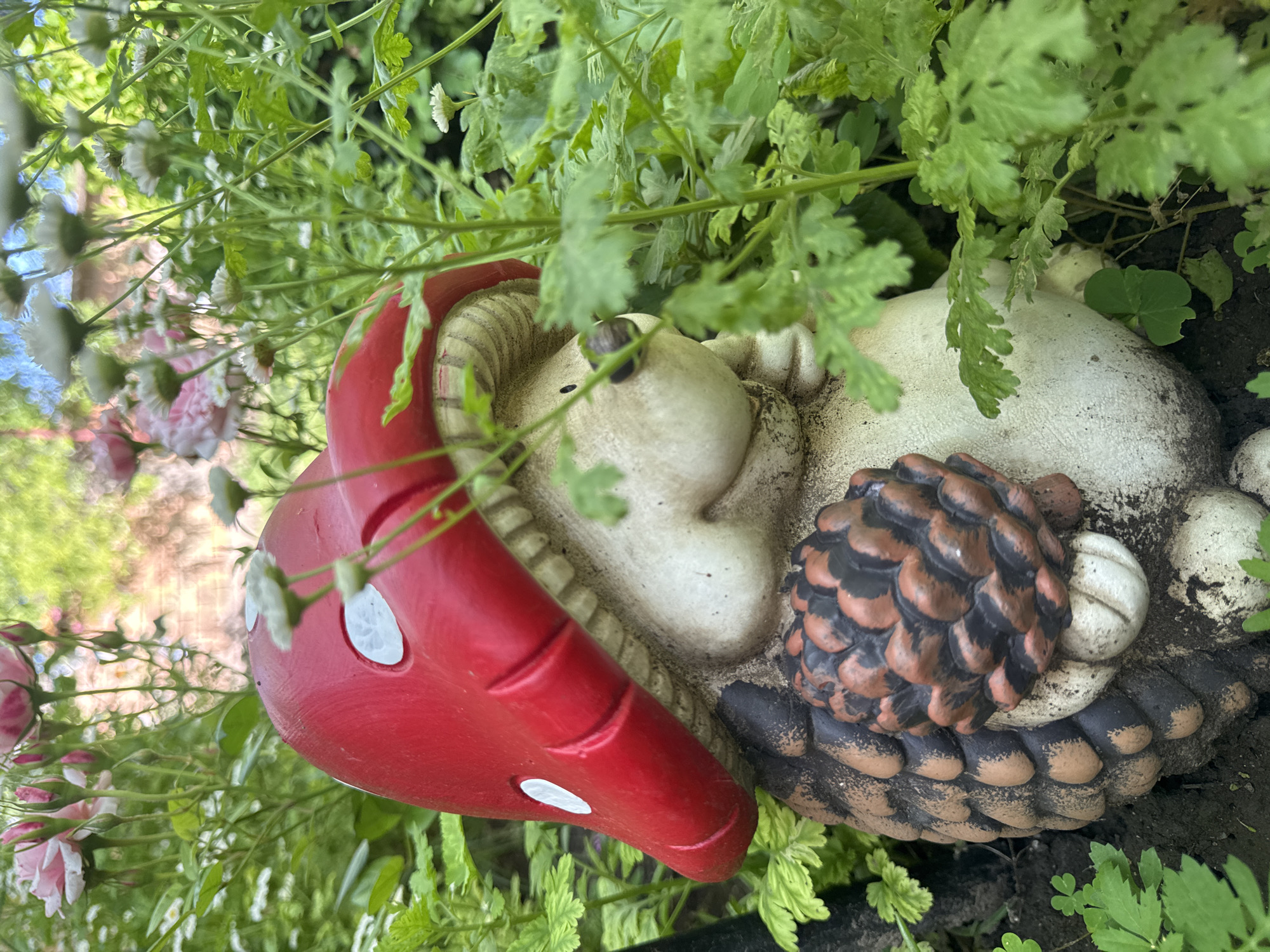 This is a close-up, eye-level, outdoor shot of a gnome figurine nestled amongst dense green foliage and flowers. The gnome, which appears to be made of ceramic or resin, is adorned with a red mushroom cap, white spots, and a textured, brown pinecone held in its hands. The figurine has a light-colored, rounded face with a subtle smile. In the background, out-of-focus pink roses and white daisies are visible, suggesting a garden setting. The lighting indicates it is daytime, with soft shadows and dappled sunlight. The exact location in Veselina, Bulgaria is not specified within the image itself.