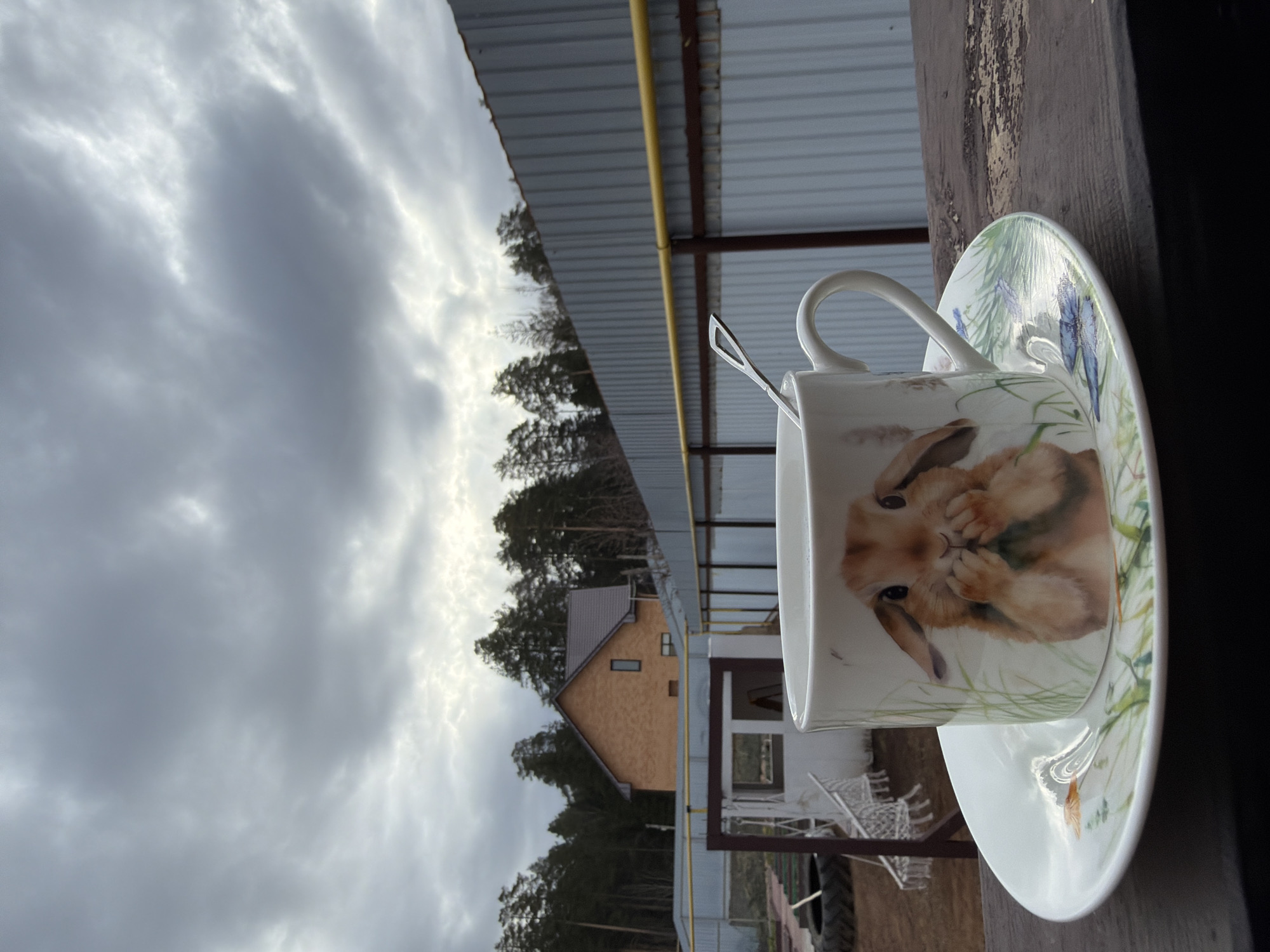 A cup with a rabbit design sits on a saucer, with a spoon inside, against a backdrop of a cloudy sky, trees, and a building in Chaikovsky, Russia. The cup and saucer are positioned on a weathered wooden surface. A corrugated metal structure with a yellow pipe is visible above and behind the cup. The building in the background has a light brown facade and a brown roof. The trees are a mix of bare branches and evergreen foliage. The sky is overcast with grey clouds.