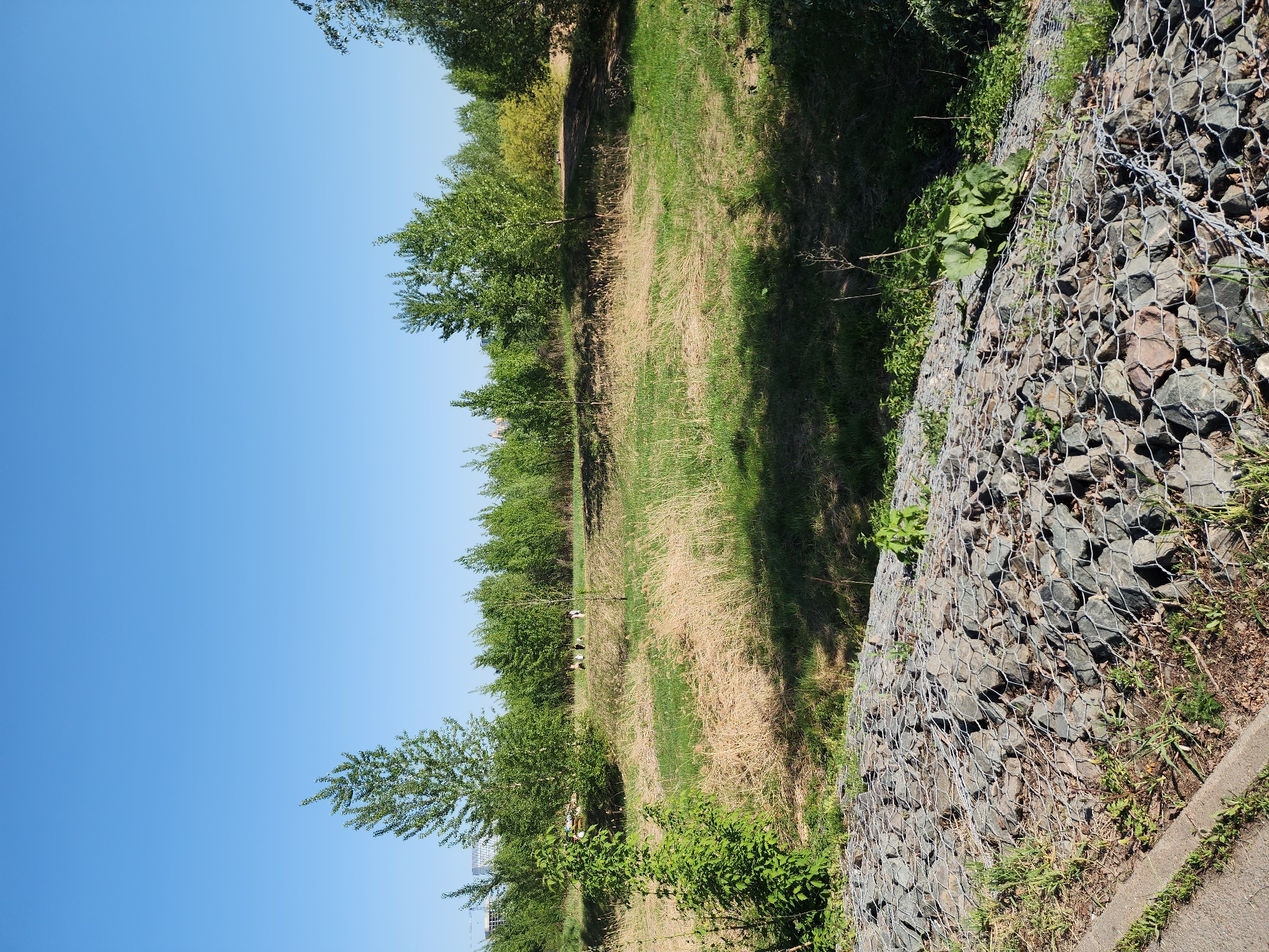 The image depicts a landscape in Kazan, Russia, featuring a drainage canal. The canal is characterized by tall grass, some of which is dried, and is bordered by trees. On the right side of the image is a stone and wire mesh embankment. The sky above is clear and blue. In the distance, there appear to be figures near the edge of the tree line. The orientation of the image is portrait, with the sky dominating the left side of the frame. The location is Kazan, Russia.