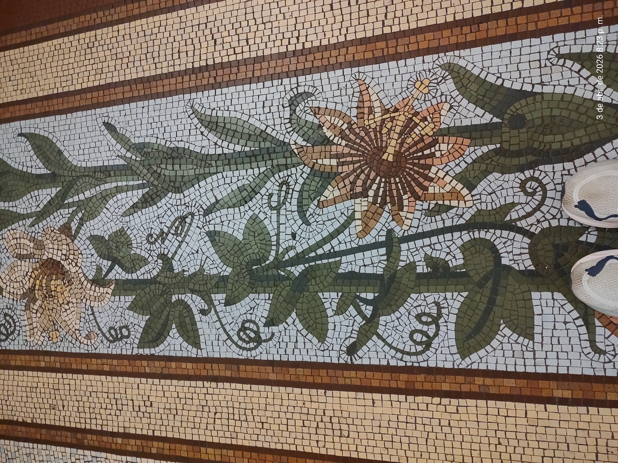 The image captures a close-up view of a mosaic floor featuring a floral pattern. The mosaic is composed of small, square tiles in various shades of white, brown, and green, forming a decorative strip along the floor. The floral design includes stylized flowers with detailed petals and leaves, intertwined with curling vines. The pattern is flanked by borders of smaller, uniform mosaic tiles in beige and brown, creating a framed effect. Two white flip-flops are visible in the top right corner of the image, slightly obscuring part of the mosaic. The date and time "3 de abril de 2026 8:23 p. m." are imprinted in the top right corner.
The location of the mosaic floor is likely in Buenos Aires, Argentina. This can be inferred from the floral patterns often found in old buildings in the city.
