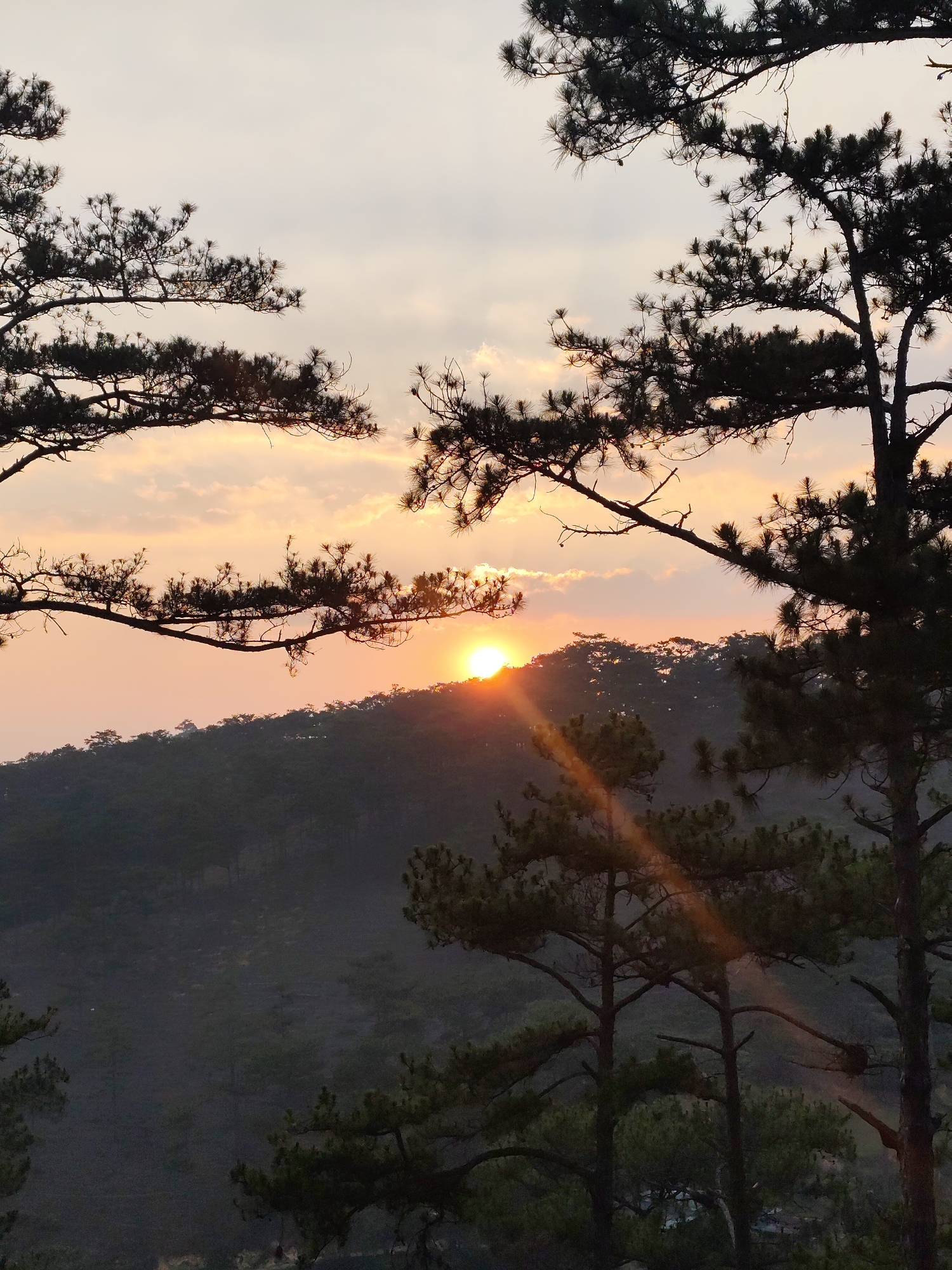 The image depicts a sunset in a mountainous region, likely in Lạc Dương, Vietnam. The sun is positioned low on the horizon, partially obscured by a ridge of trees. The sky is a mix of pastel orange, peach, and gray, suggesting a sunset. Silhouetted coniferous trees frame the top and sides of the image. A prominent sunbeam is visible, extending downwards through the lower right portion of the frame. The foreground shows additional trees and darker green foliage. The overall impression is a tranquil mountain landscape at dusk.