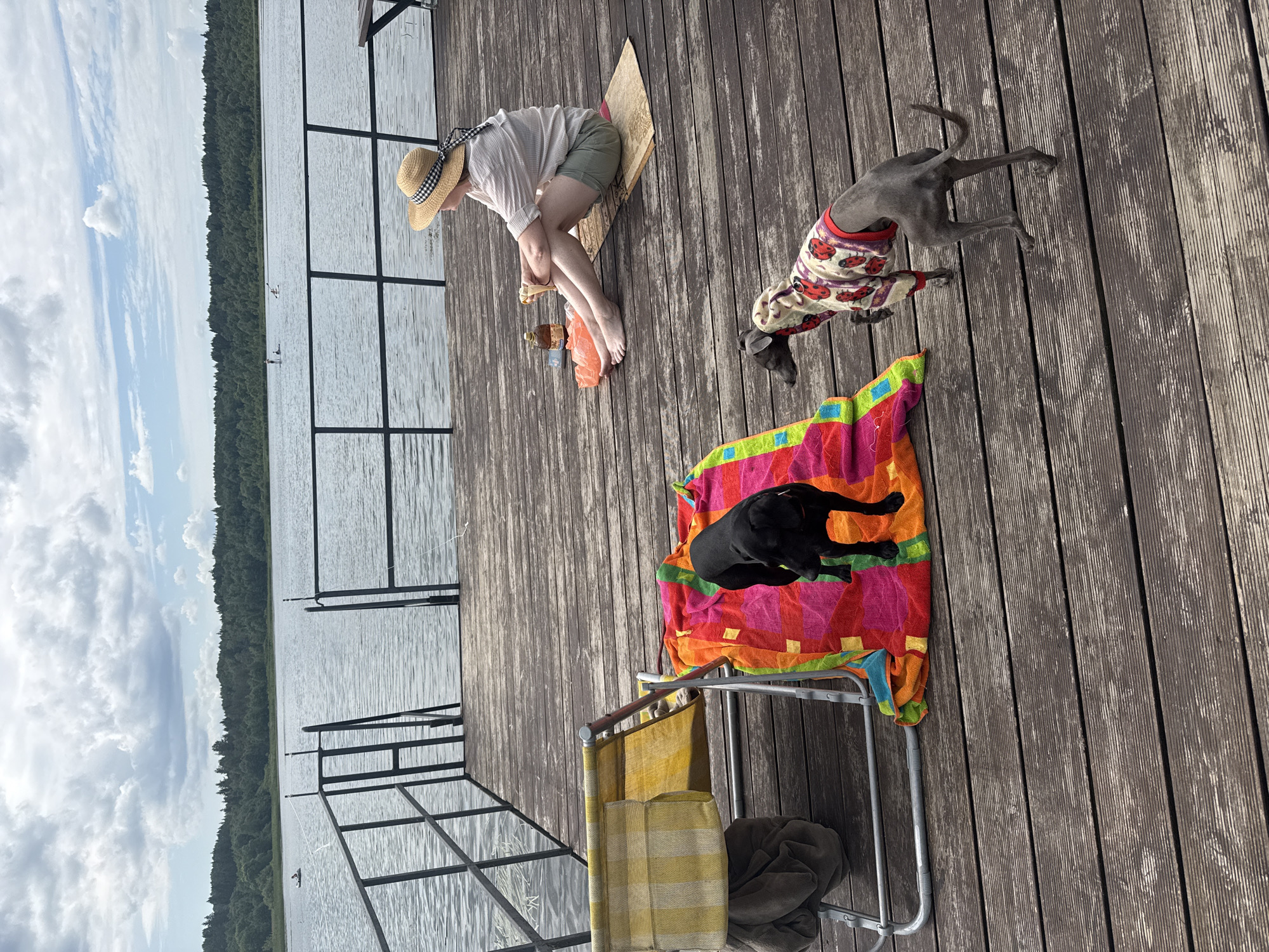 On a wooden deck next to a lake, two dogs are playing. A black Labrador stands on a colorful towel draped over a lounge chair, while a thin grey dog in a ladybug-patterned coat explores the deck. A woman wearing a straw hat and green shorts sits on the deck, holding an ice cream cone and a bottle. The background shows a calm lake with a treeline and a cloudy sky. The location is identified as Chikino, Russia.