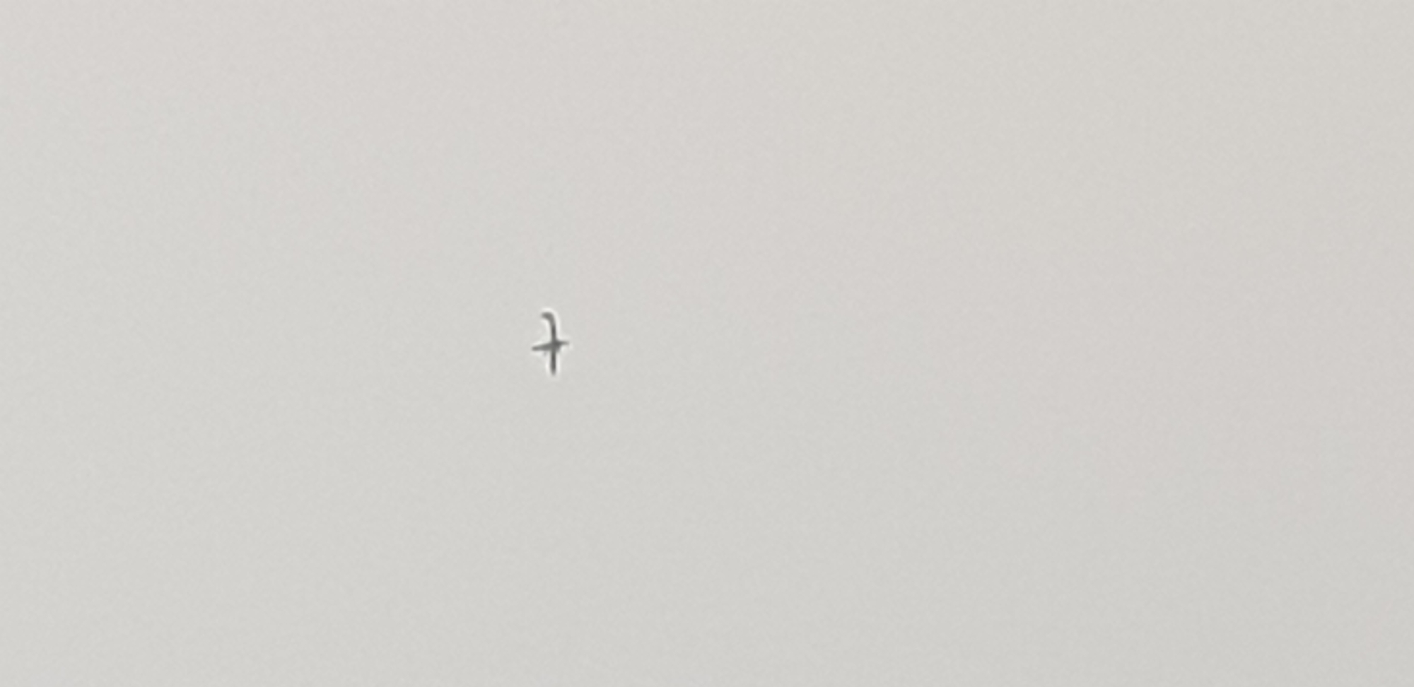 An airplane is visible in the sky. The sky is overcast and appears to be a uniform light gray color. The airplane is small and distant, appearing as a silhouette against the sky. It has a distinct fuselage and wings.