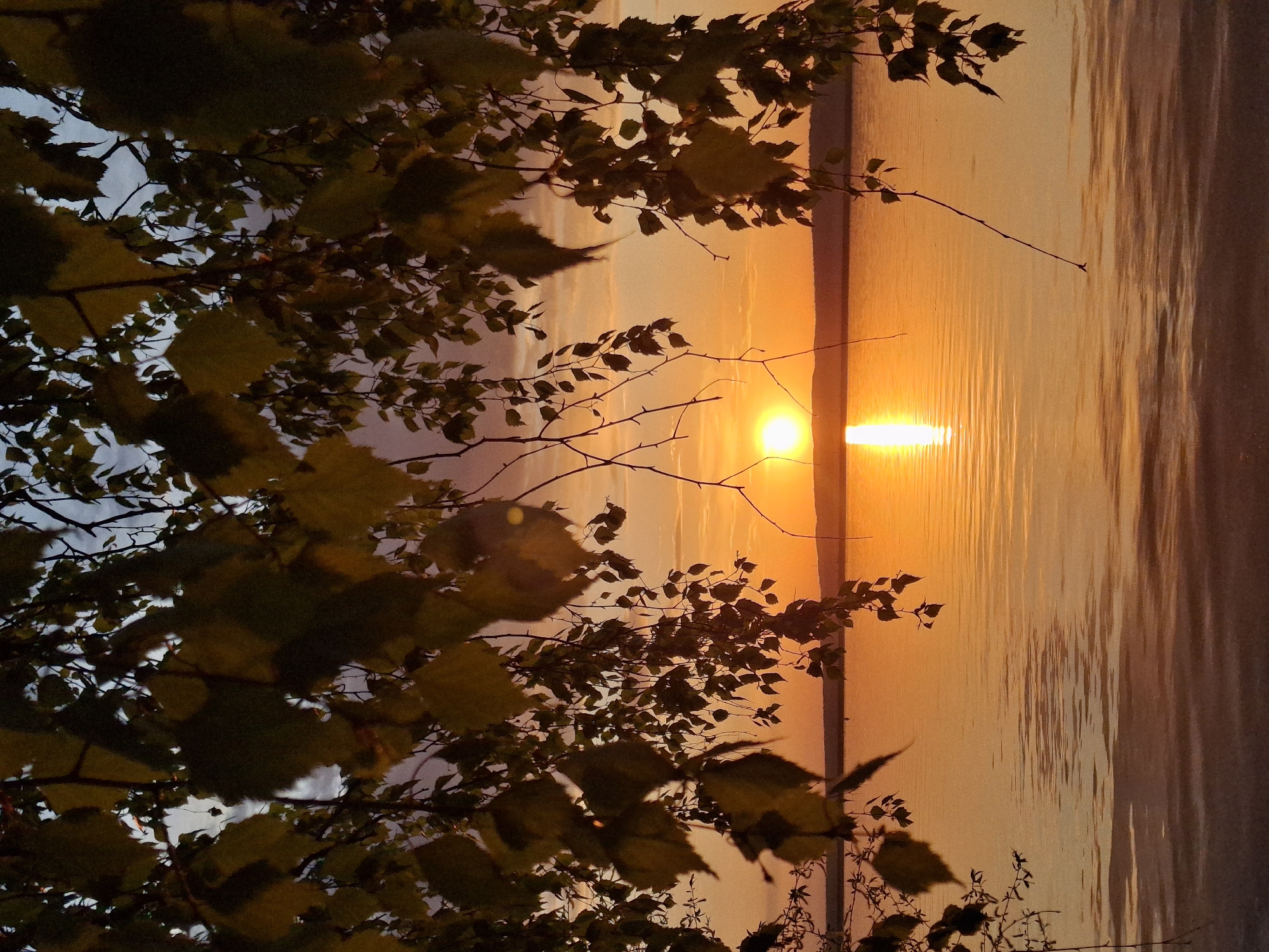 The image shows a sunset over the Kama River in Chaikovsky, Russia. The sun is low on the horizon, reflecting in the water. Tree branches are visible in the foreground.