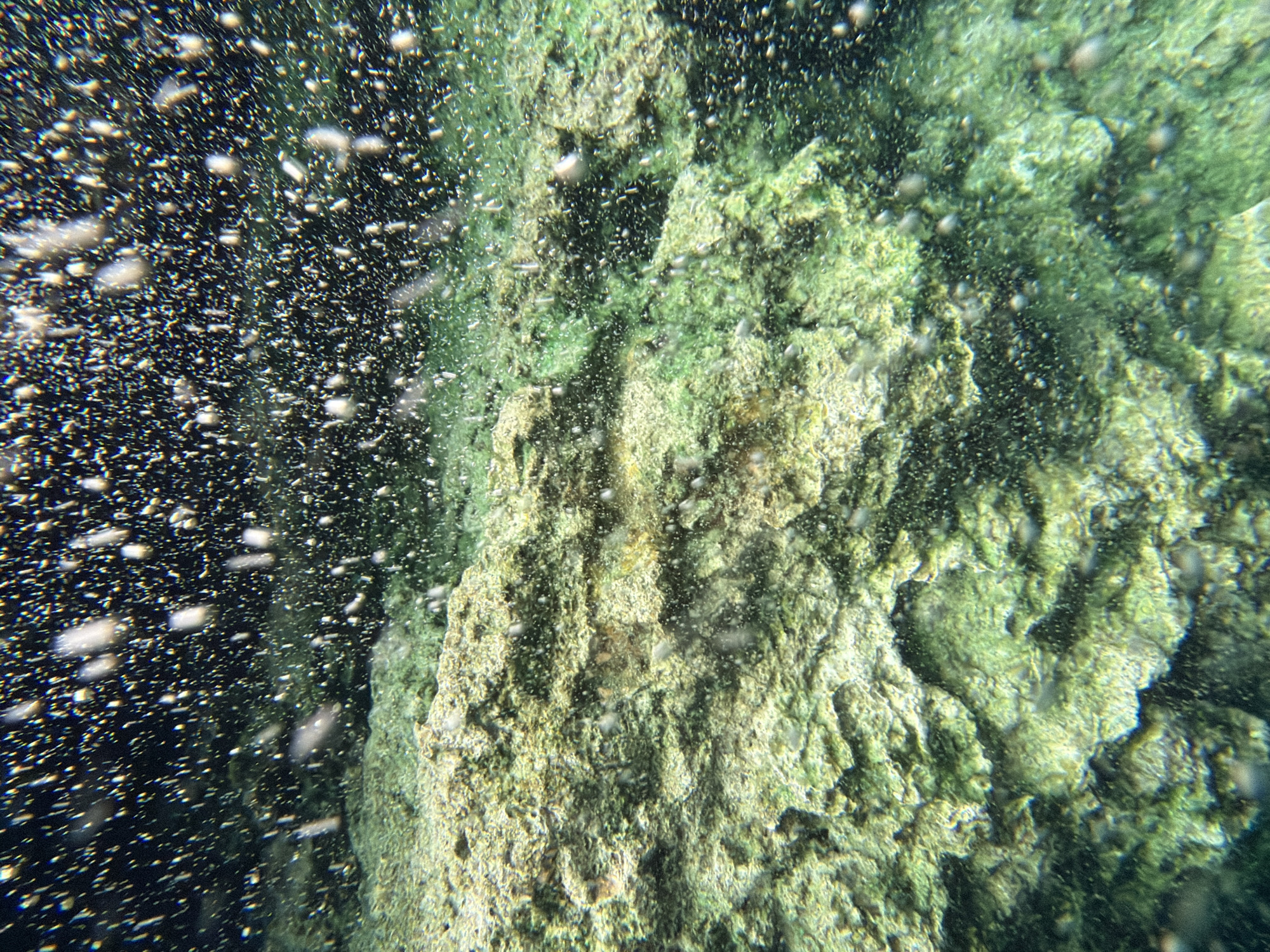 This underwater photograph, likely taken in the thermal waters of Pamukkale, Turkey, features a large, heavily textured, green-tinted rock formation. The rock's surface appears layered and porous. The water surrounding the rock is dark and filled with numerous small, white particles, possibly sediment or mineral deposits. These particles create a speckled effect. The image suggests an environment rich in minerals, consistent with Pamukkale's geological features.