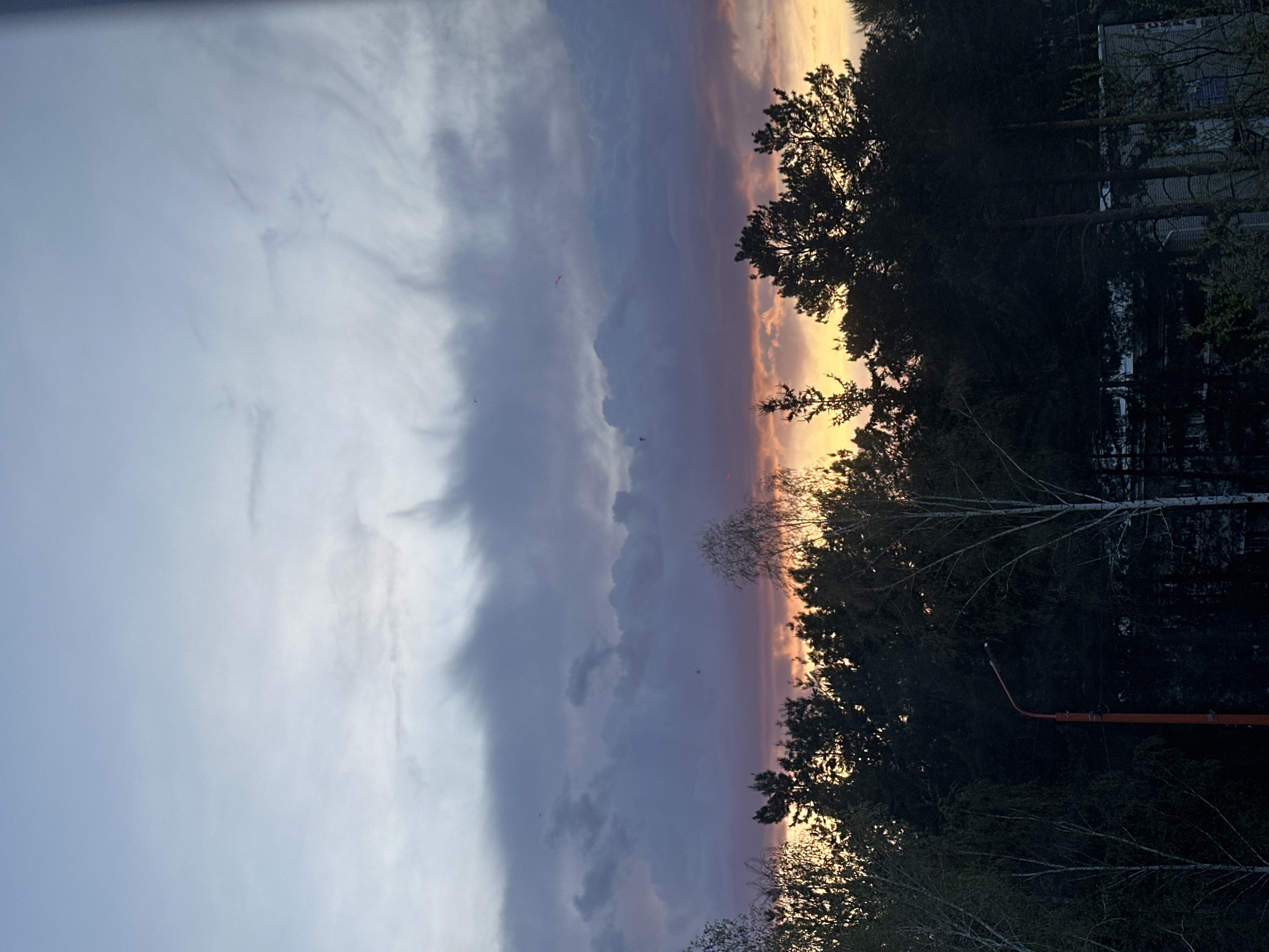 A horizontally oriented photograph depicts a sunset scene in Sayansk, Russia. The left portion of the image is dominated by a cloudy sky, transitioning from light gray to dark gray with hints of purple and orange near the center. The right portion of the image shows a silhouette of trees, predominantly dark green, with some patches illuminated by the setting sun. A building facade is visible behind the trees. An orange pole is visible in the foreground.
