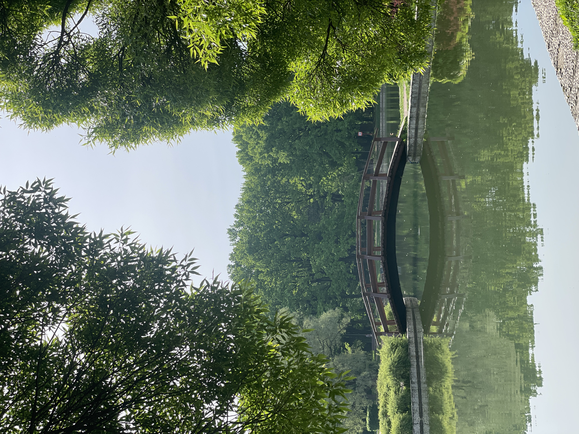 The image depicts a reflective body of water with trees surrounding it. A wooden bridge is visible, with its reflection perfectly mirrored in the water. The trees are lush and green, indicating a natural environment. The setting is likely a park or garden, potentially located in Moscow, Russia, given the context. The scene appears peaceful and serene, with no people visible. The lighting suggests a bright, sunny day.
