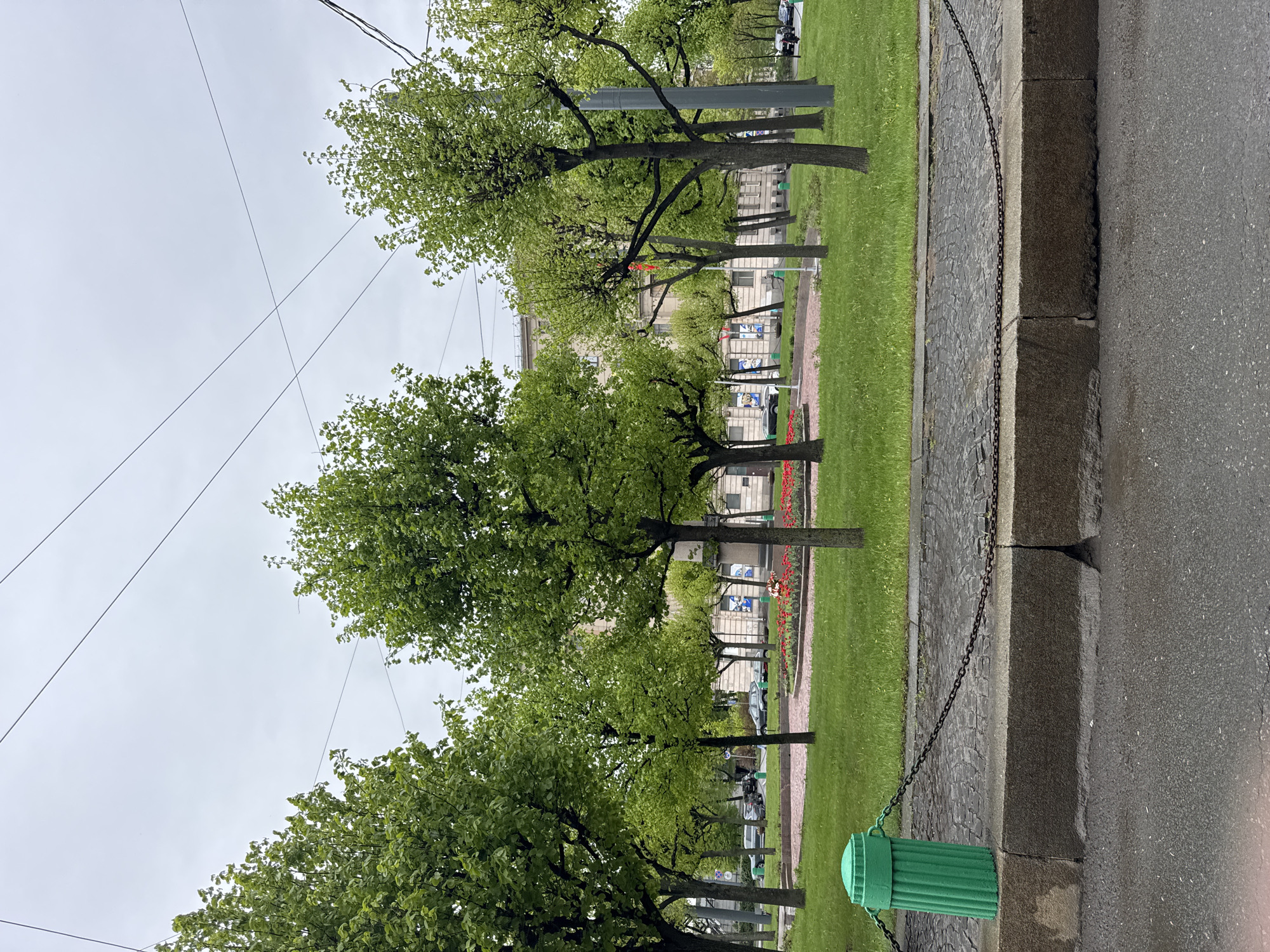 A street view in Saint Petersburg, Russia, features a row of trees with green leaves lining a grassy area. A building with multiple windows is visible in the background. A chain fence runs along the edge of the sidewalk next to the street. A green, cylindrical structure, possibly a utility box or bollard, is present at the edge of the sidewalk. Overhead power lines stretch across the sky. The sky is overcast. Some red tulips have been planted among the trees. Several cars are visible on the street, and the buildings in the background are decorated with posters or signs.