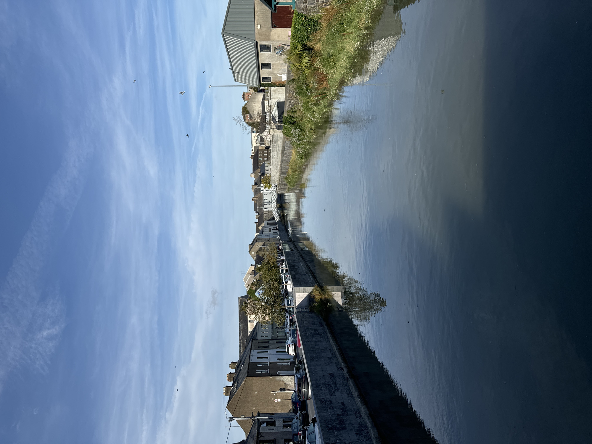 A wide-angle, eye-level shot depicts a canal or river flowing through a city in Waterford, Ireland, under a clear blue sky dotted with wispy clouds. The canal runs from the foreground to the background, bordered on both sides by stone walls. On the left bank, a row of terraced houses with brick chimneys lines a street with parked cars. On the right bank, a grassy embankment is visible, leading to several buildings, including a modern, grey-ribbed building with a red door, and a white swan sculpture. A white pedestrian bridge spans the canal in the distance, with more buildings and greenery beyond. Several birds are captured in flight against the sky, and reflections of the buildings and sky are visible on the water's surface. The scene is peaceful and appears to be a typical urban waterway.