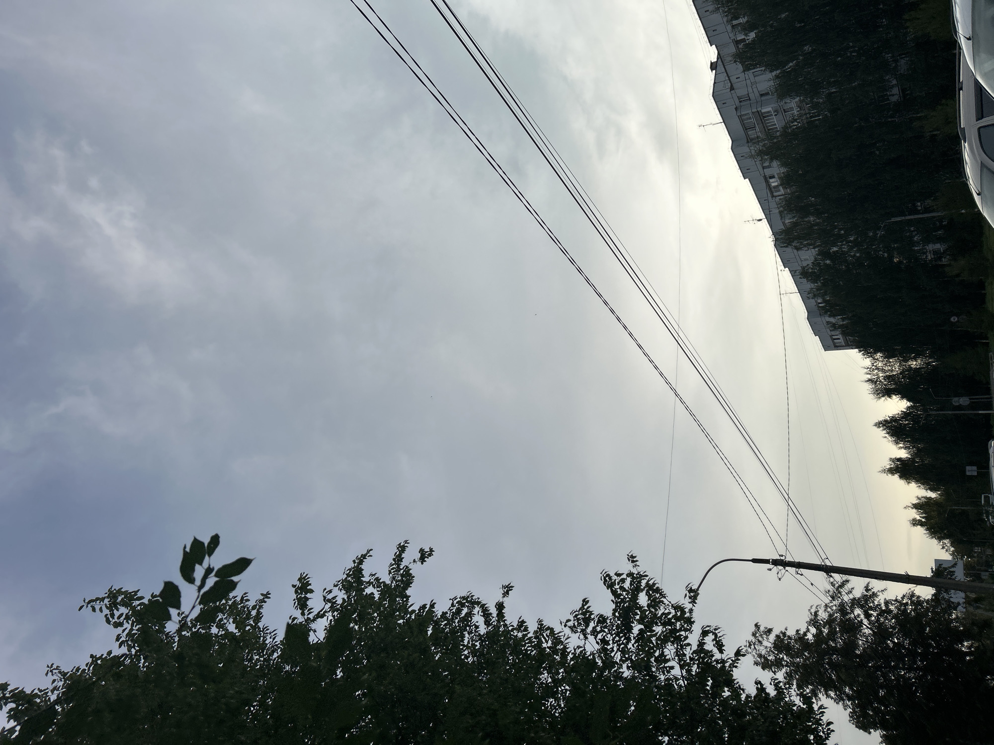 The image depicts an overcast sky over a street scene in Chaikovsky, Russia. In the foreground on the left, the dark silhouette of a large tree with green leaves occupies the left third of the frame. To the right of the tree, a lamppost stands at an angle, with power lines extending diagonally across the sky. Further to the right, a long, multi-story apartment building with a gray facade runs horizontally across the lower part of the image, its silhouette partially obscured by a row of dark green trees in front of it. Several cars are visible parked along the street in front of the building. The sky is a pale, diffused gray with hints of white clouds and a slight brightening towards the horizon, suggesting it might be early morning or late afternoon. The overall impression is a common urban or suburban environment under a subdued sky.