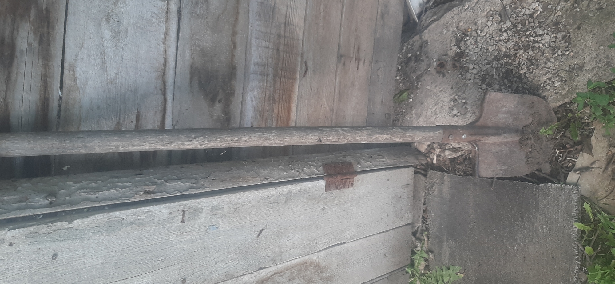 A close-up, low-angle shot shows a weathered shovel leaning against a rustic wooden structure, possibly a shed or barn. The shovel's metal head is covered in dirt, and its wooden handle is grey and splintered. The wooden planks of the structure are aged, with visible grain and peeling paint. A rusty hinge is attached to the left side of the wooden structure. The ground beneath the shovel is a mixture of dirt, small stones, and sparse green foliage. In the background, more wooden planks are visible, suggesting the structure continues. The scene appears to be outdoors, in a rural or unkempt setting, consistent with the provided location of Yessentukskaya, Russia.