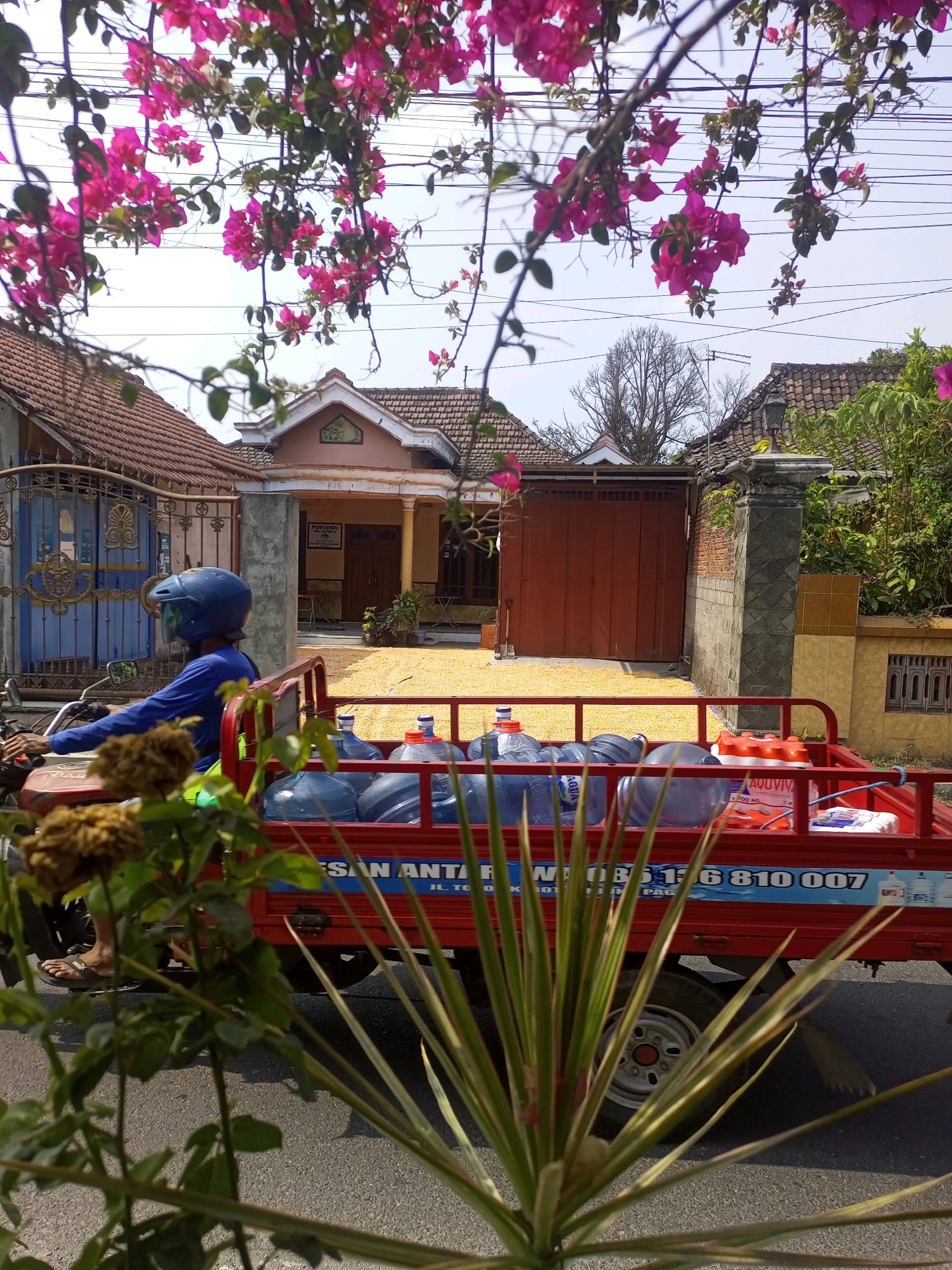 A motorcycle with a red trailer is parked on a street in Ngasem, Indonesia. The trailer is loaded with several large blue water bottles and a few smaller items. The motorcycle rider is wearing a blue helmet and a blue long-sleeved shirt. In the background, there is a house with a tiled roof and a brown garage door. The ground in front of the house is covered with yellow kernels, possibly corn. Pink bougainvillea flowers hang from branches in the foreground, partially obscuring the view. The scene appears to be set during the day.